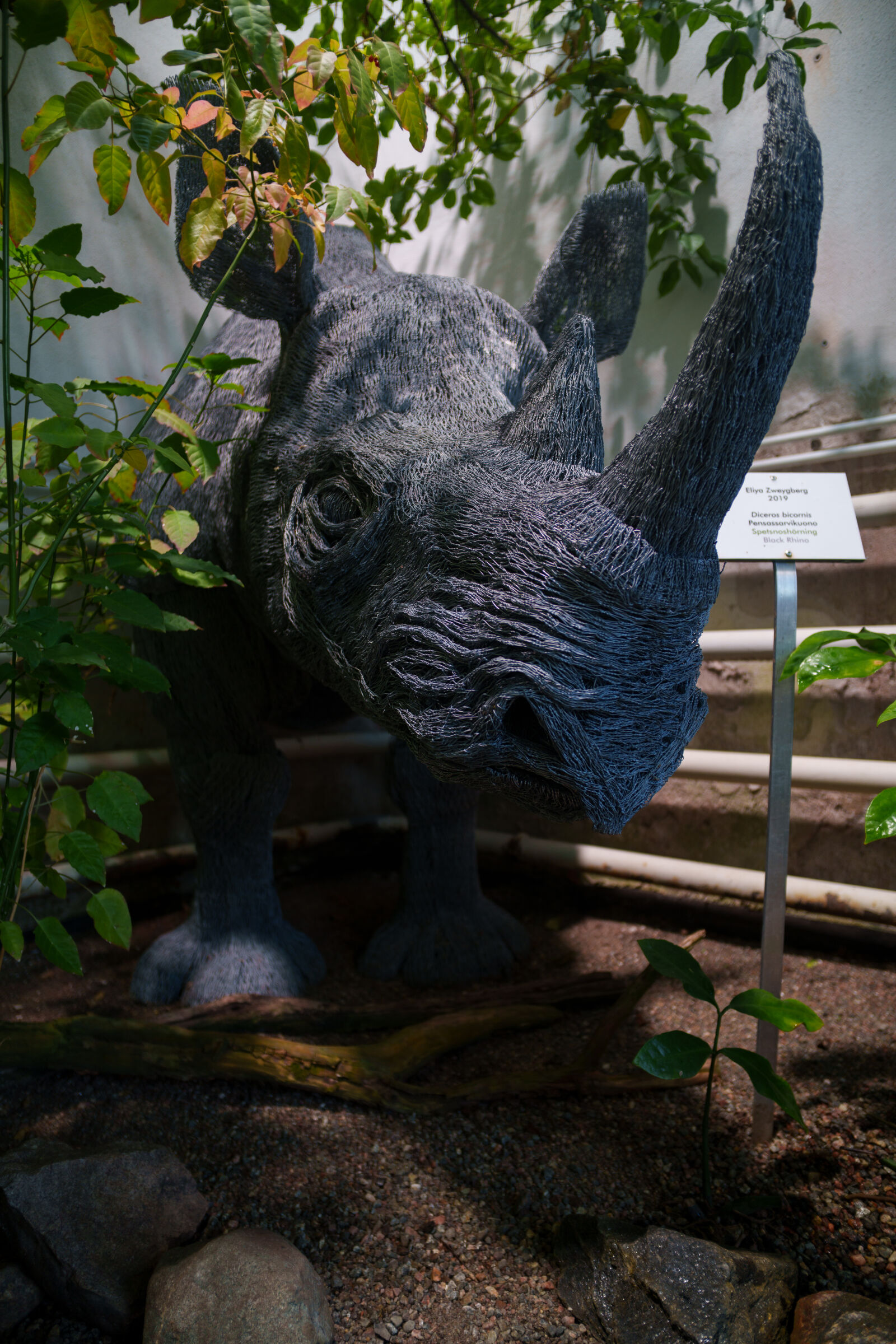 Samyang Remaster Slim 21mm F3.5 sample photo. Greenhouse rhinoceros photography