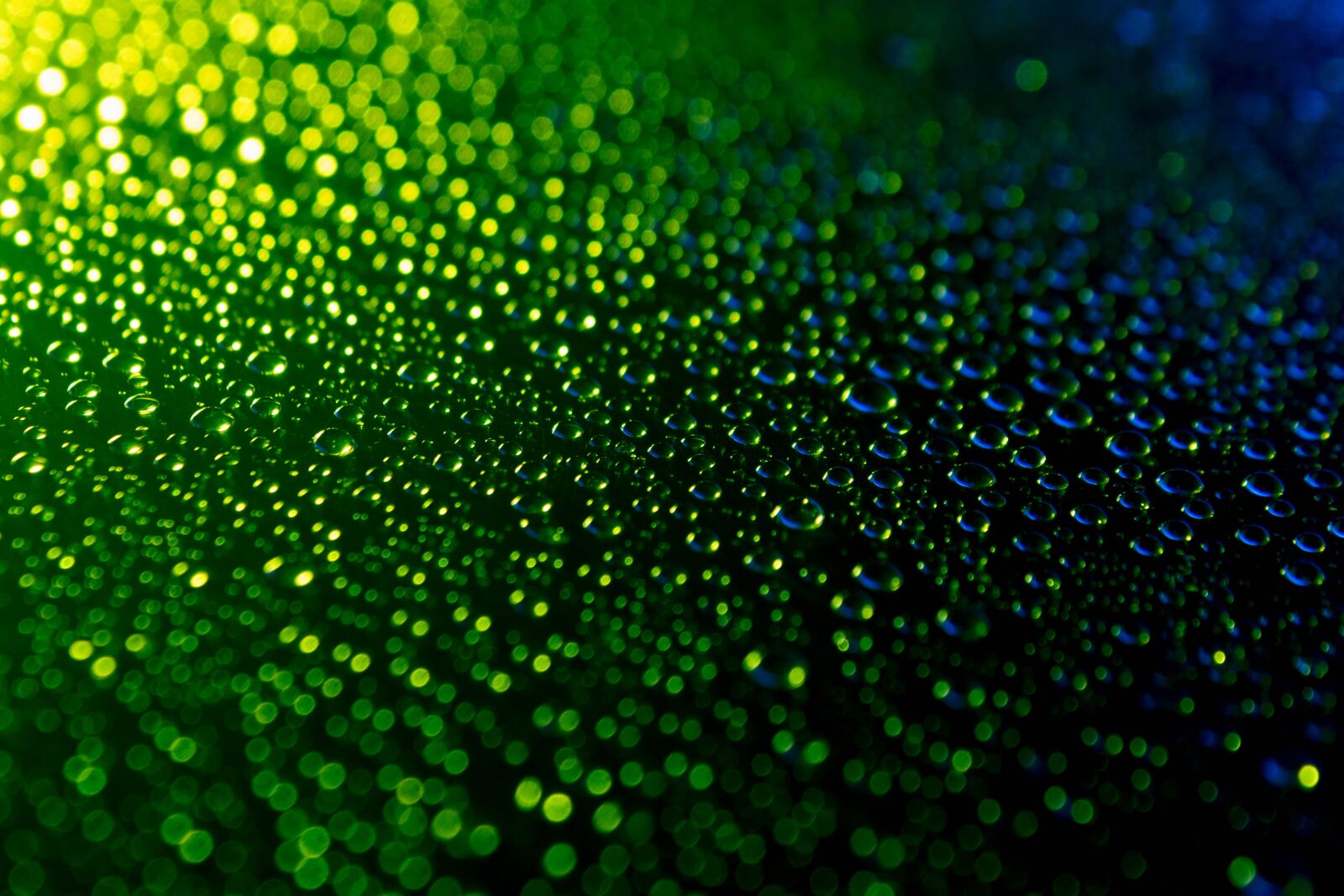 Canon EOS 70D sample photo. Splash, water, droplets photography