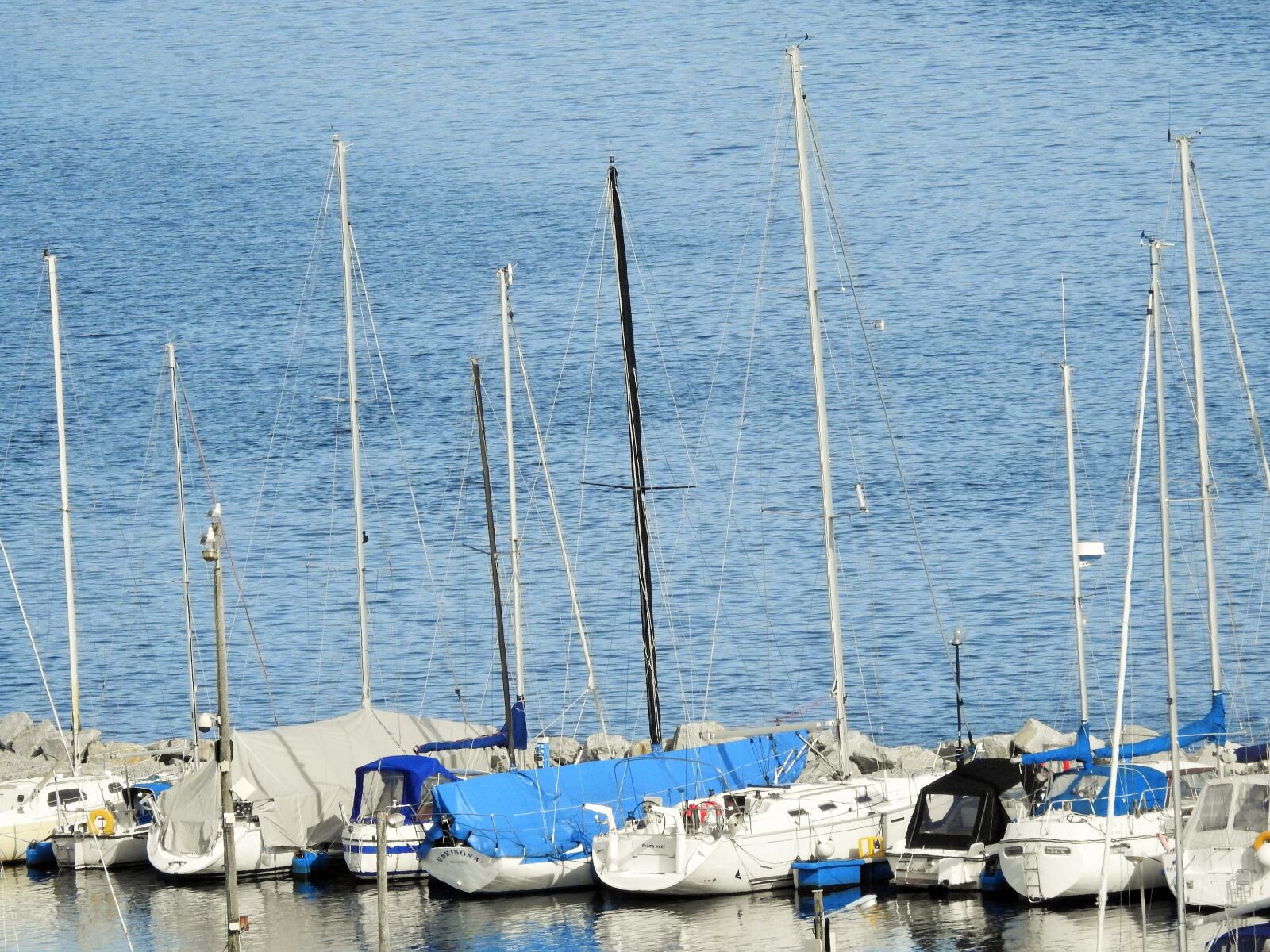 Nikon Coolpix P900 sample photo. Fjord, gandsfjorden, boats photography