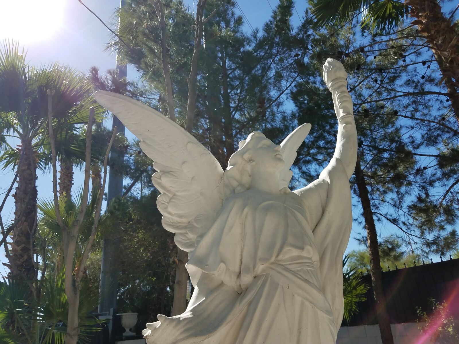 Samsung Galaxy S7 sample photo. Angel, las, vegas, palm photography