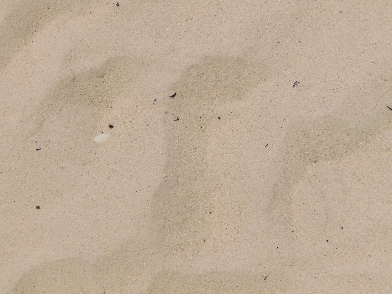 Sony Cyber-shot DSC-H300 sample photo. Sea, beach photography
