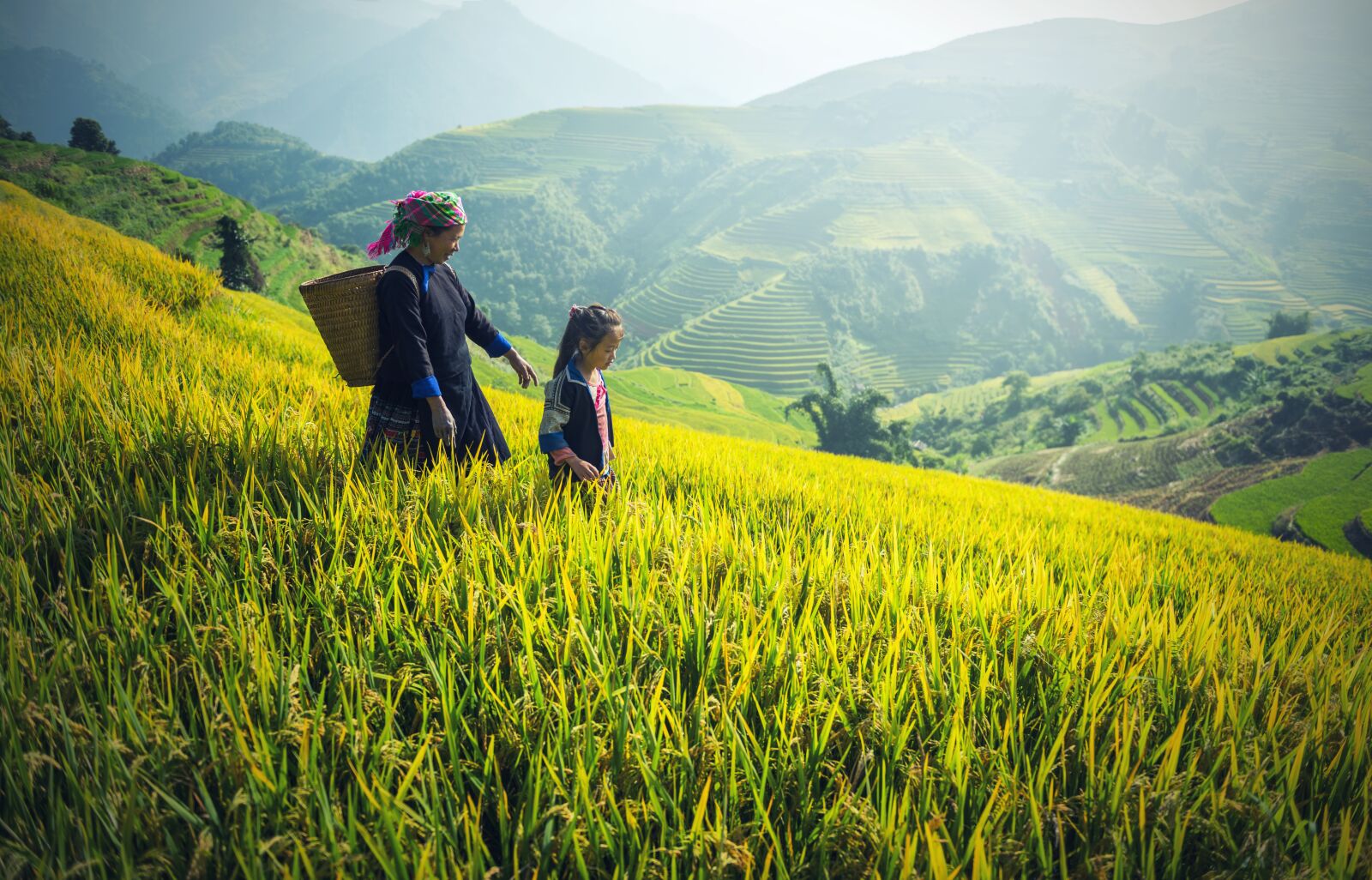 Nikon D810 sample photo. Agriculture, asia, back photography