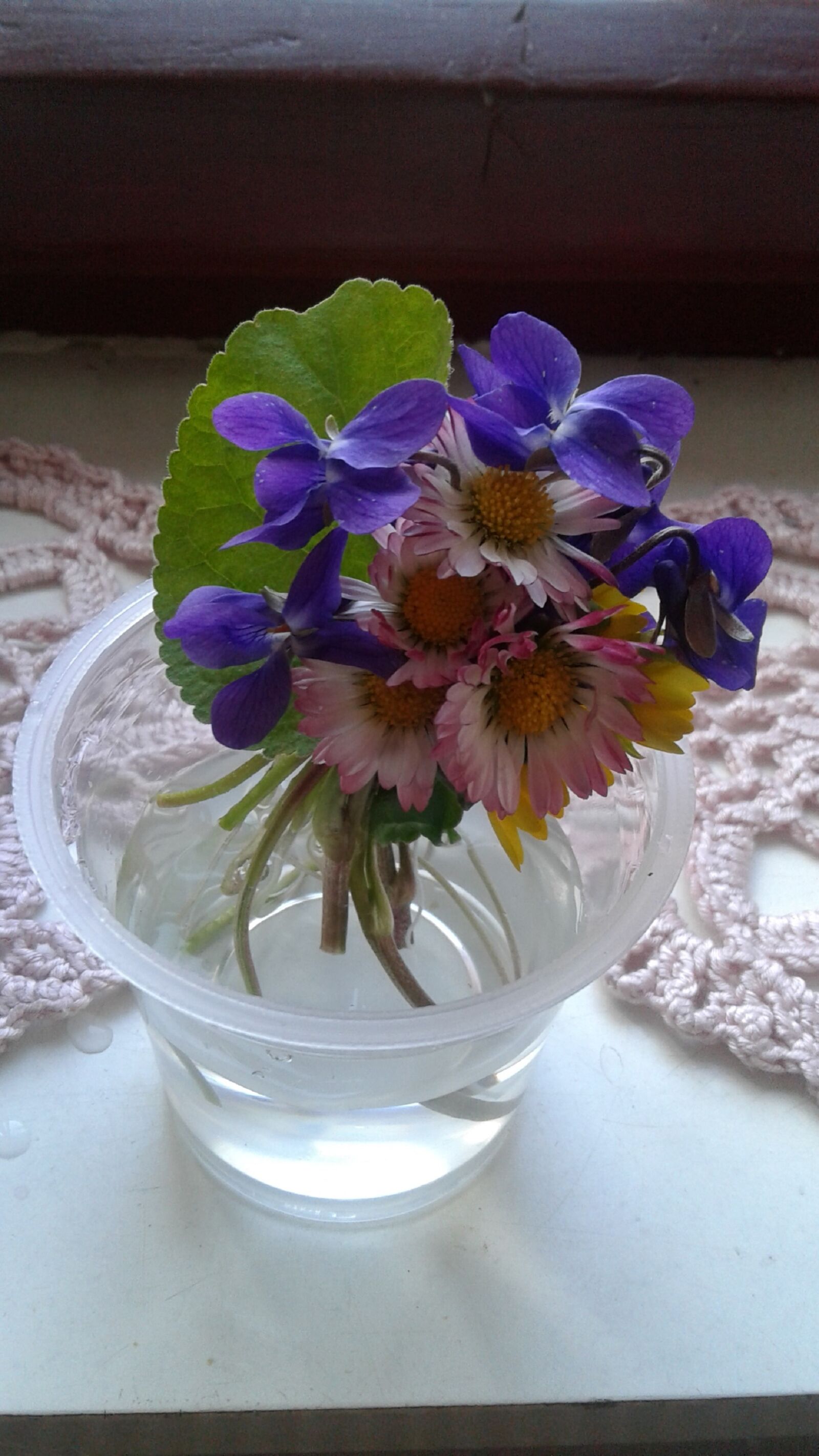 Samsung Galaxy J2 sample photo. Spring, violets, walk photography