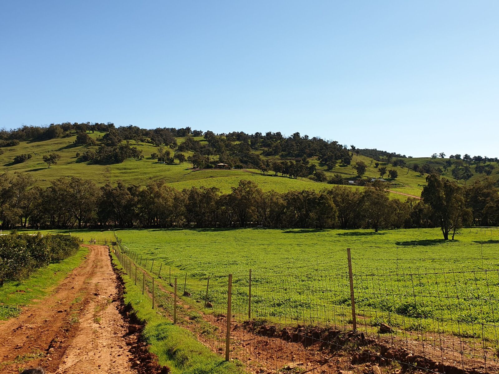 Samsung Galaxy S9 sample photo. Australia, perth hills, western photography