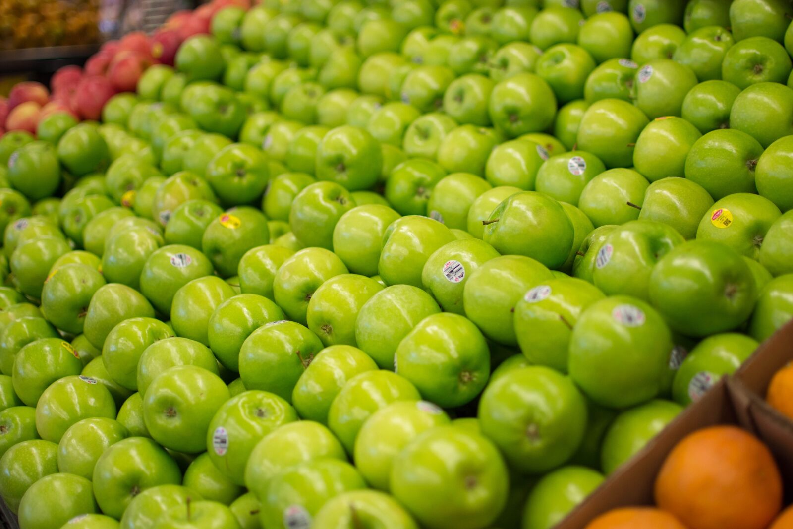 Nikon D7200 sample photo. Green, food, vegetable photography