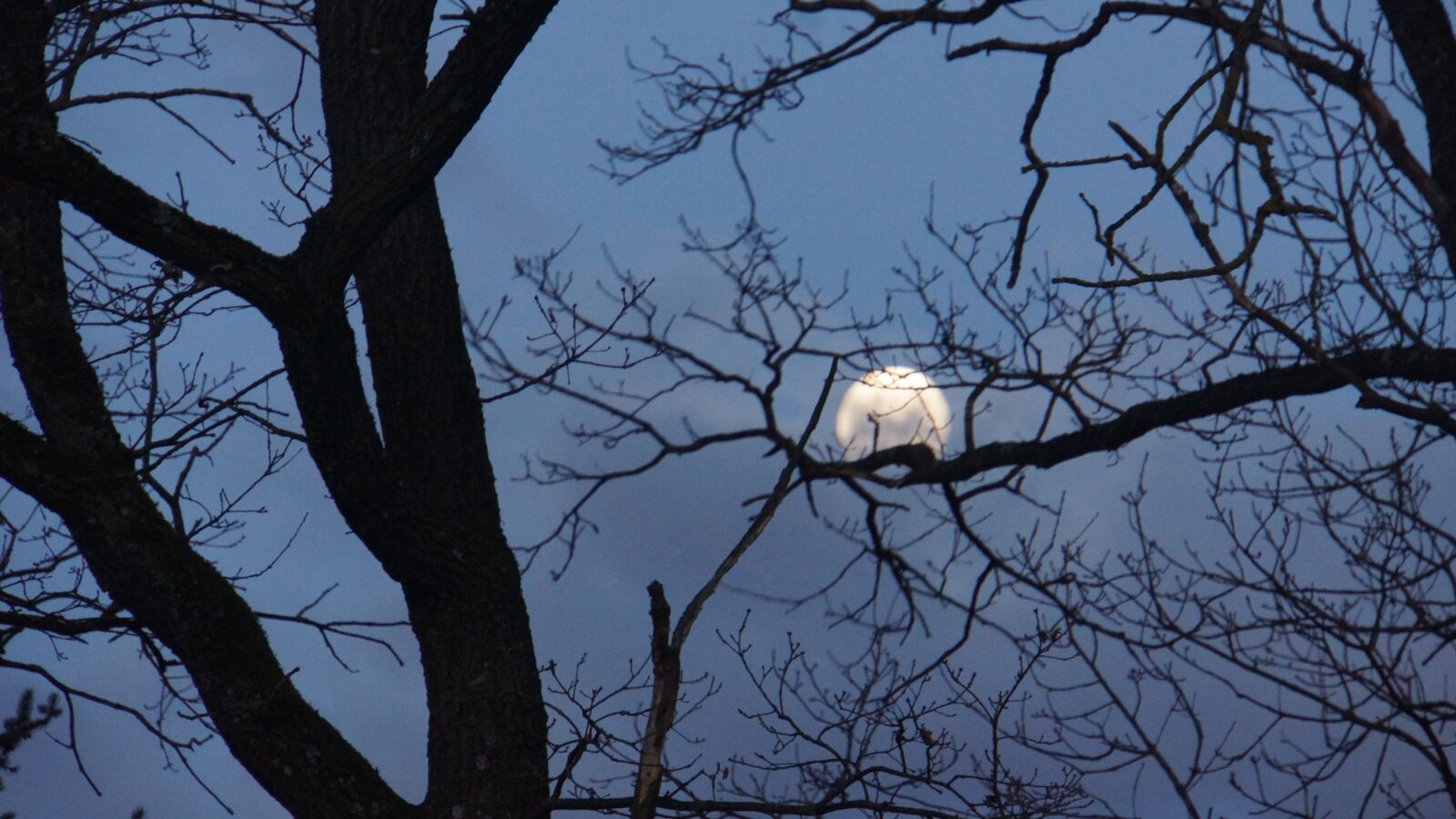 Sony Alpha NEX-7 sample photo. Moon, night, moonlight photography