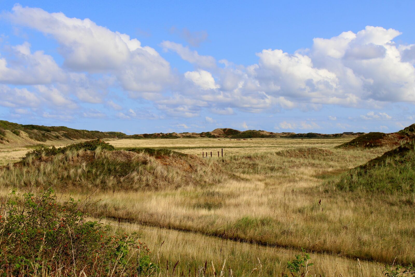 Canon EOS 700D (EOS Rebel T5i / EOS Kiss X7i) sample photo. Langeoog, landscape, sky photography