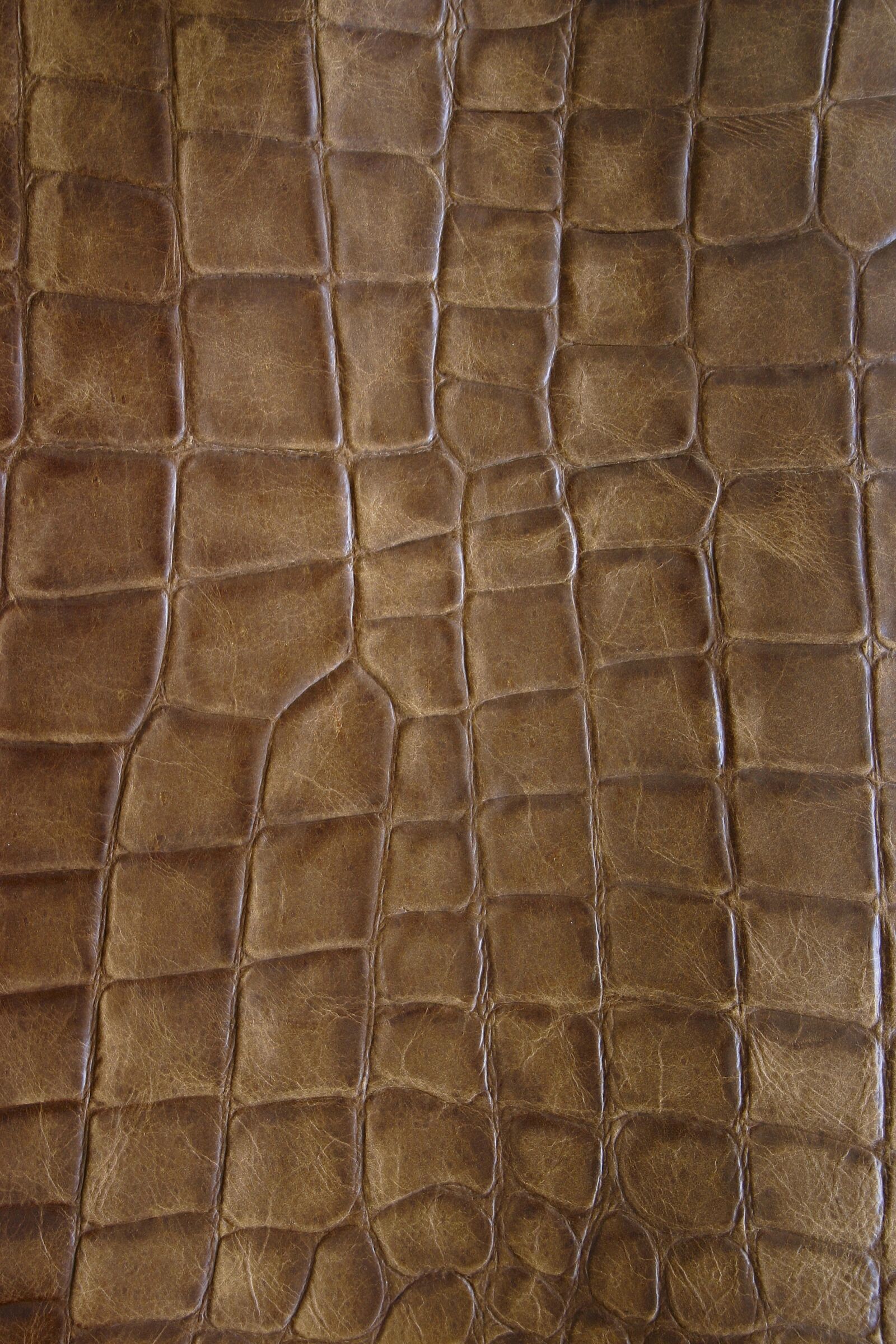 Canon EOS 300D (EOS Digital Rebel / EOS Kiss Digital) sample photo. Brown leather, structure, detail photography