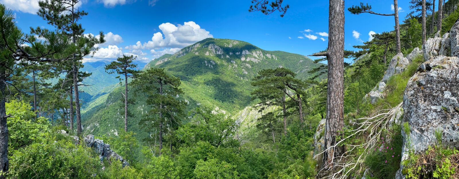 Apple iPhone 11 Pro sample photo. Mountain, mountains, landscape photography
