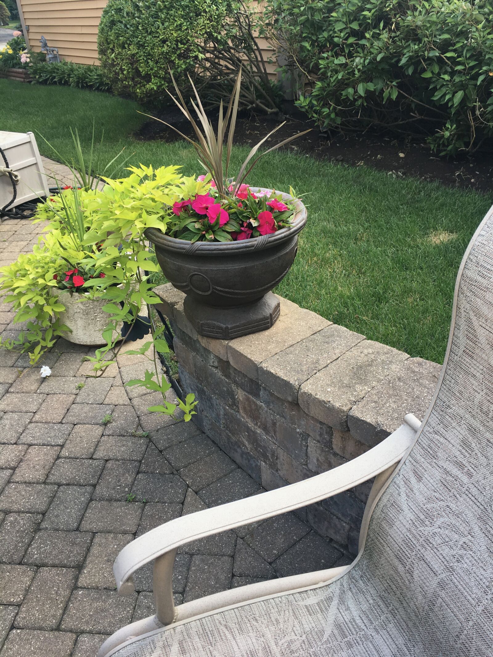 Apple iPhone 6s sample photo. Flowers, on, the, patio photography