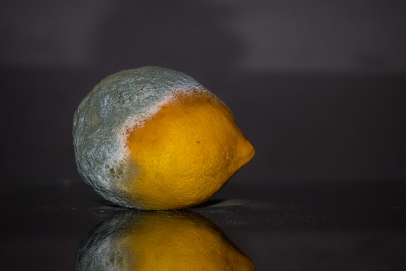 Nikon D3300 sample photo. Lemon, rotten, fruit photography