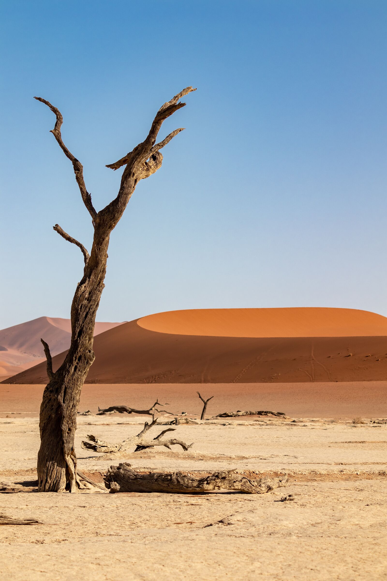 Canon EF 70-200mm F4L IS II USM sample photo. Namibia, desert, sand photography