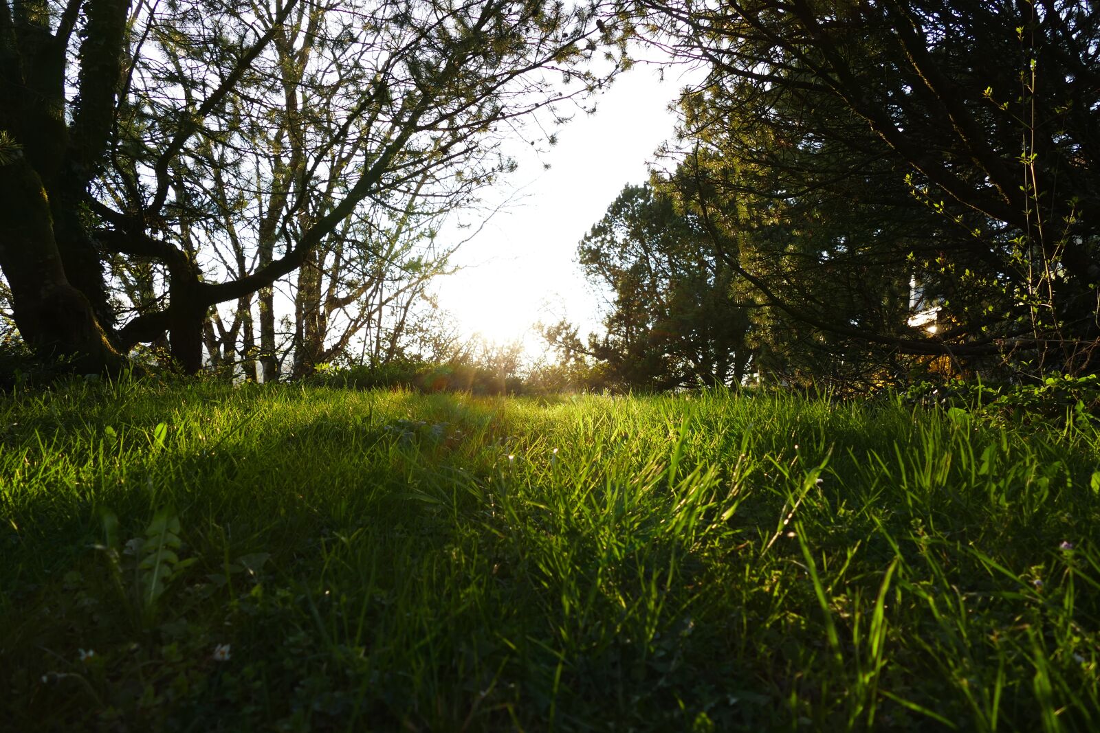 Panasonic Lumix DMC-FZ1000 sample photo. Sunset, landscape, evening photography