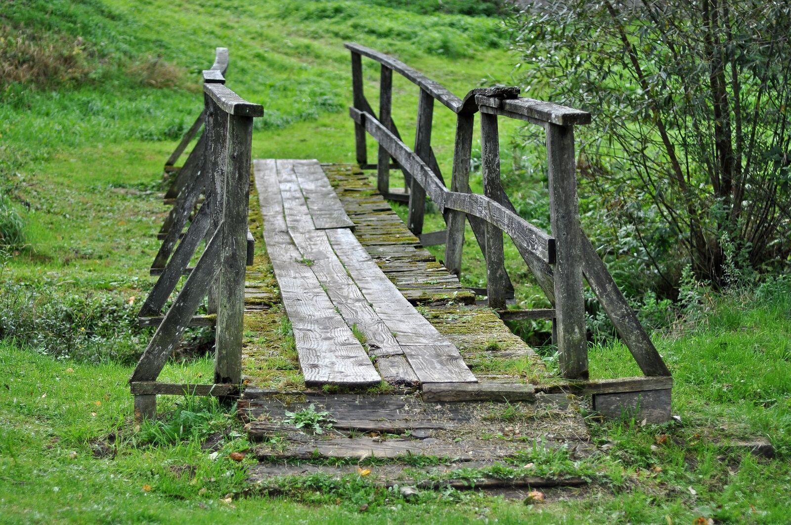 Nikon D90 sample photo. Bridge, wooden bridge, transition photography