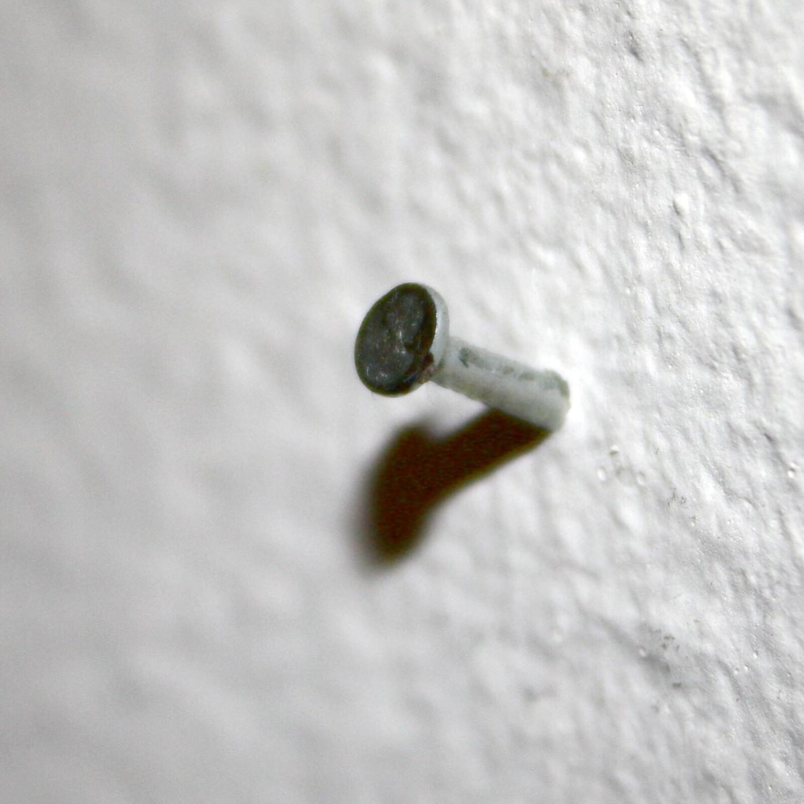 f/3.5-5.6 IS sample photo. Small nail, sticking out photography