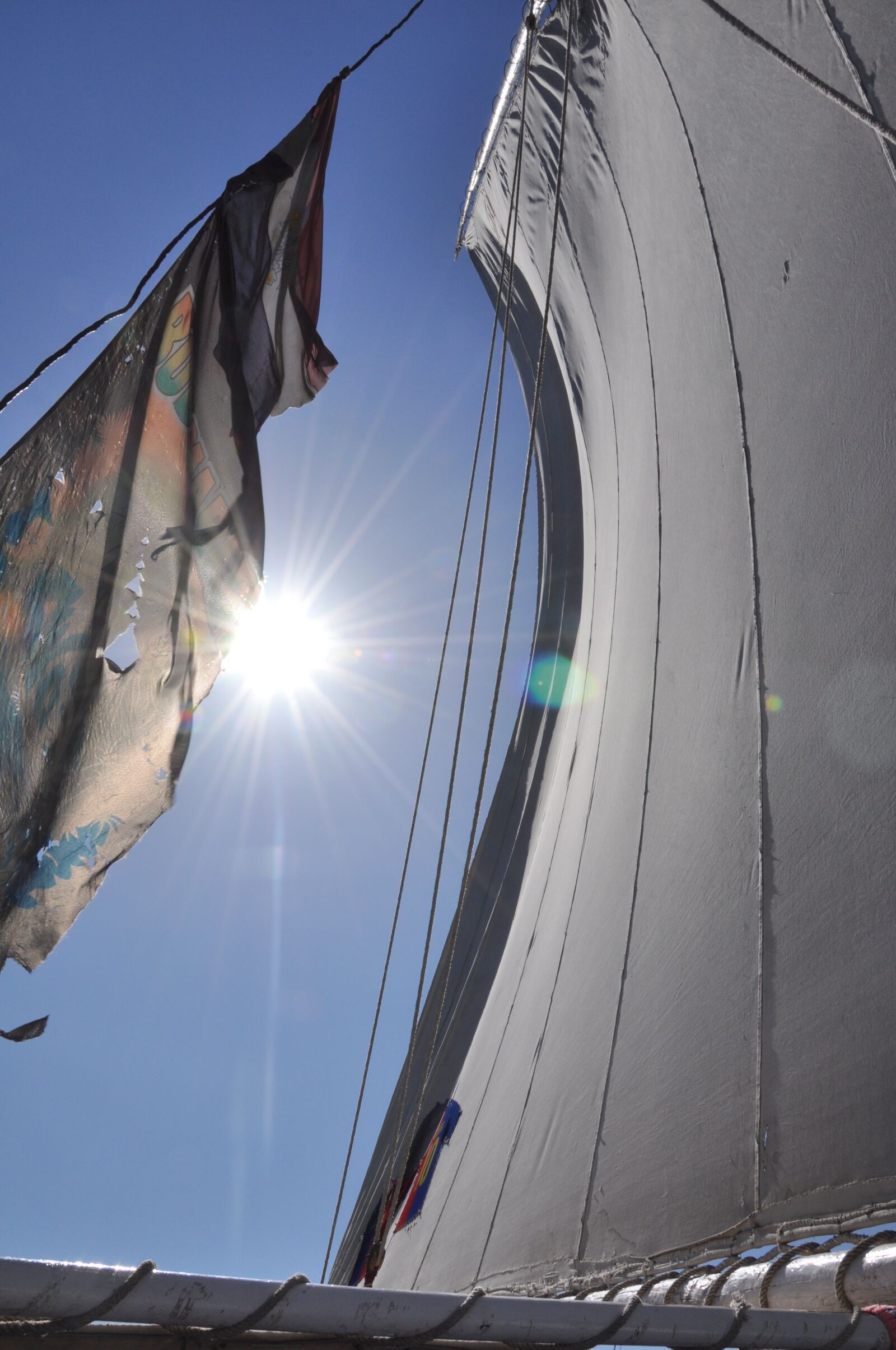 Nikon D90 sample photo. Sailing, sailing boat, feluccas photography