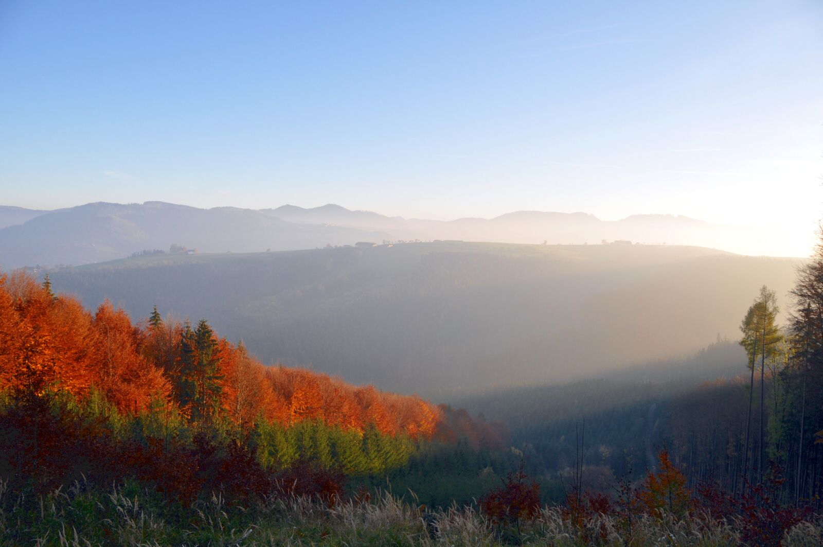 Nikon D90 sample photo. Autumn, autumn mood, autumn photography