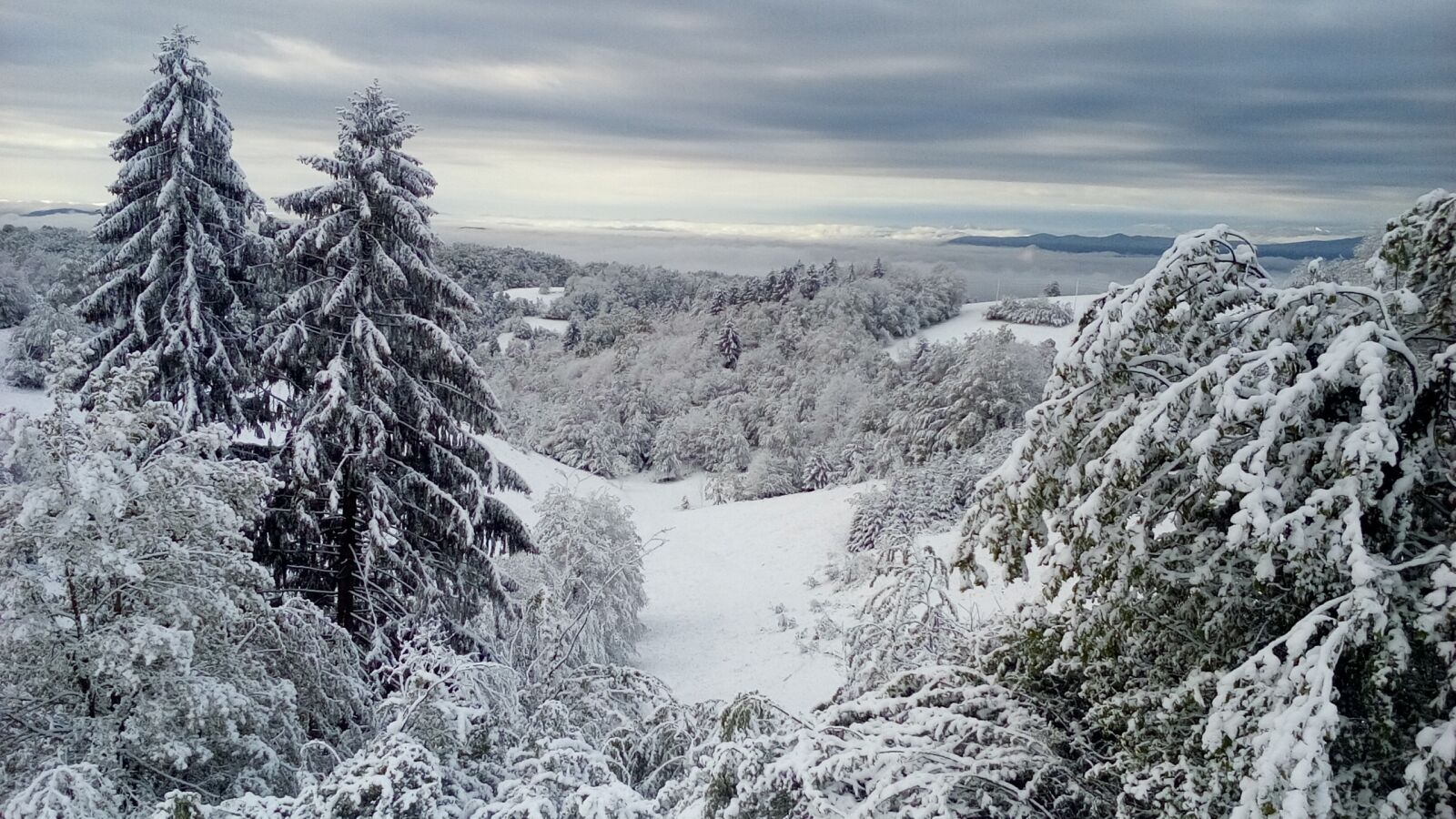 LG LEON sample photo. Winter, snow, nature photography