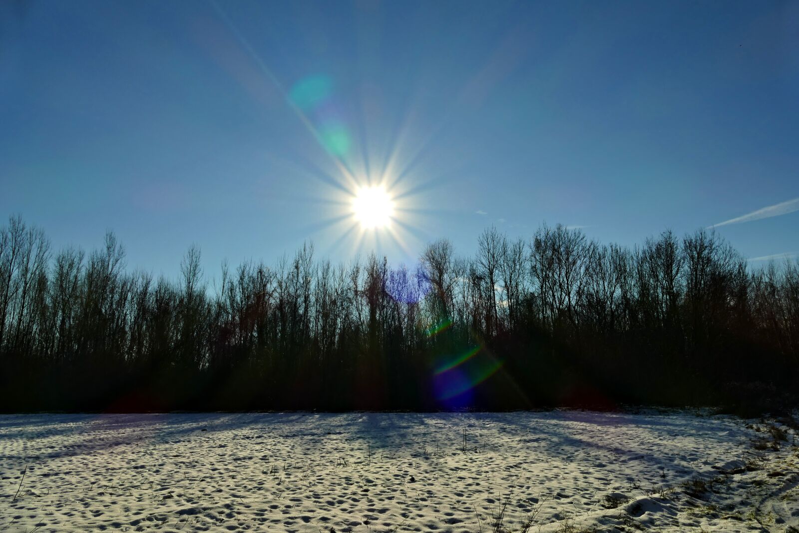 Panasonic Lumix DMC-FZ1000 sample photo. East, the sun, nature photography