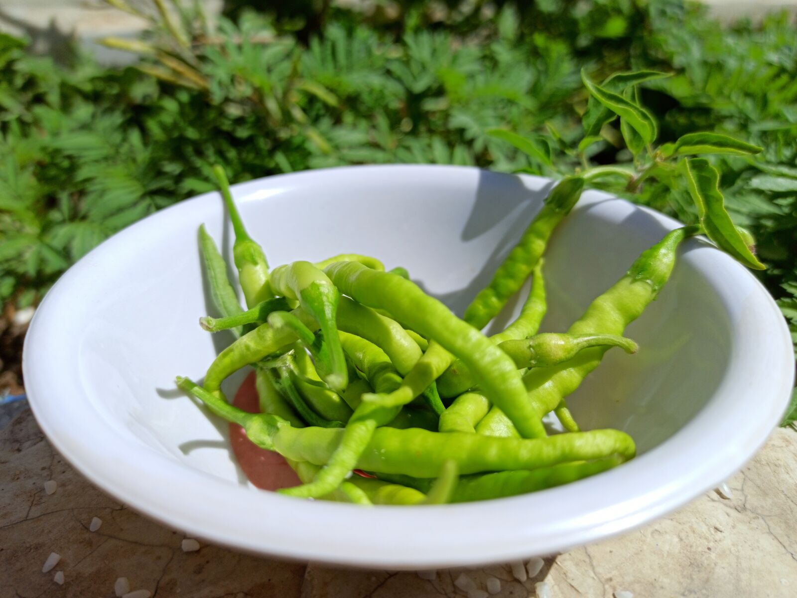 Xiaomi Redmi Note 8 Pro sample photo. Green chili, organic, raw photography