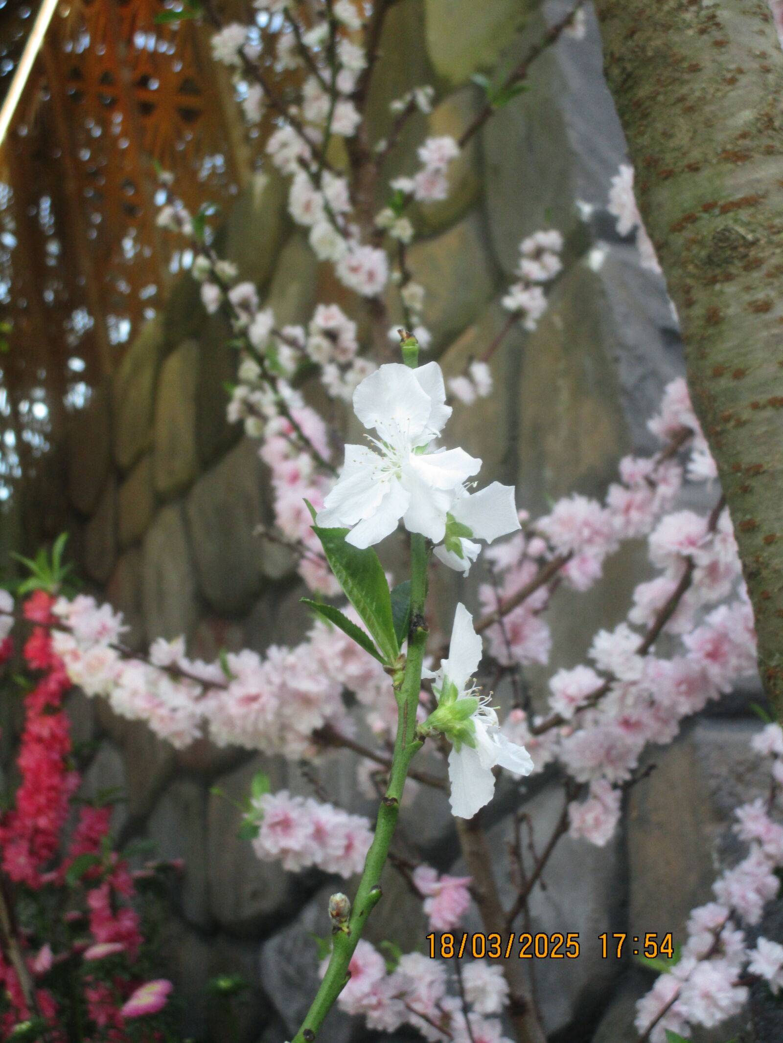 Canon PowerShot ELPH 150 IS (IXUS 155 / IXY 140) sample photo
