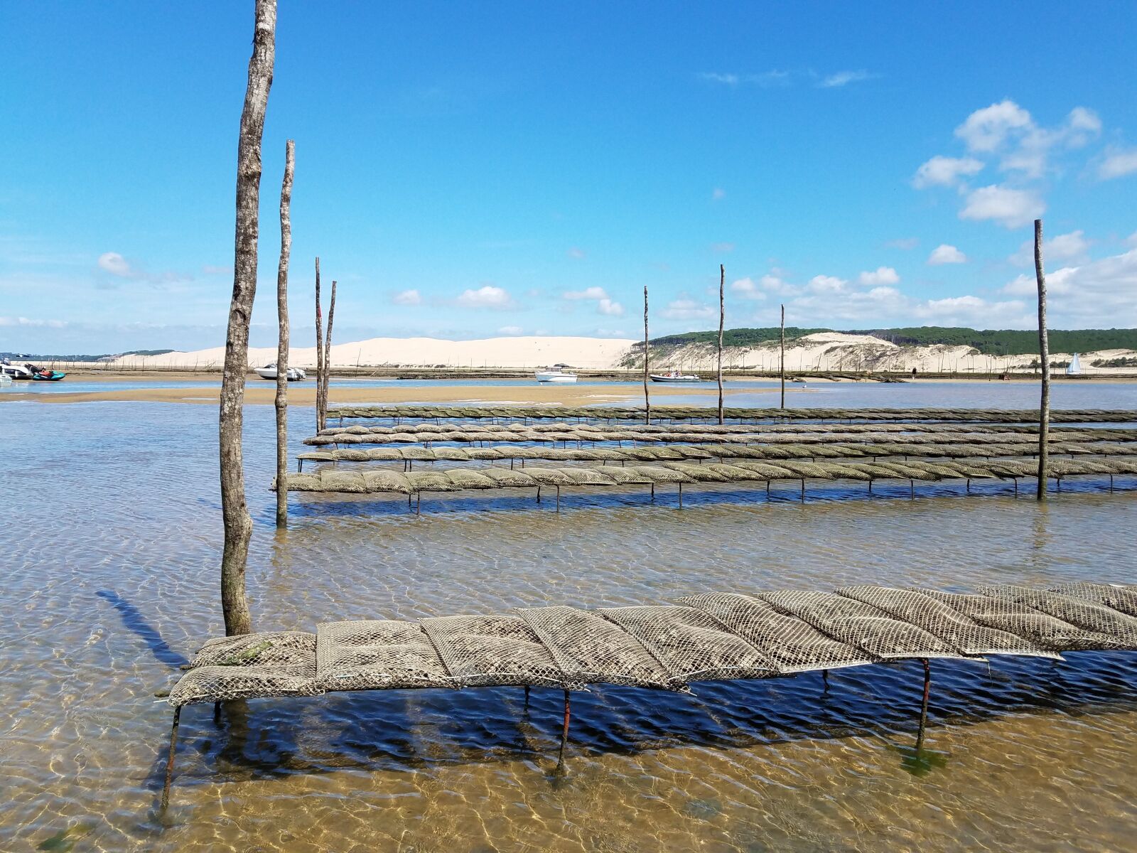 Samsung Galaxy S7 Edge sample photo. Arcachon basin, oyster, pila photography