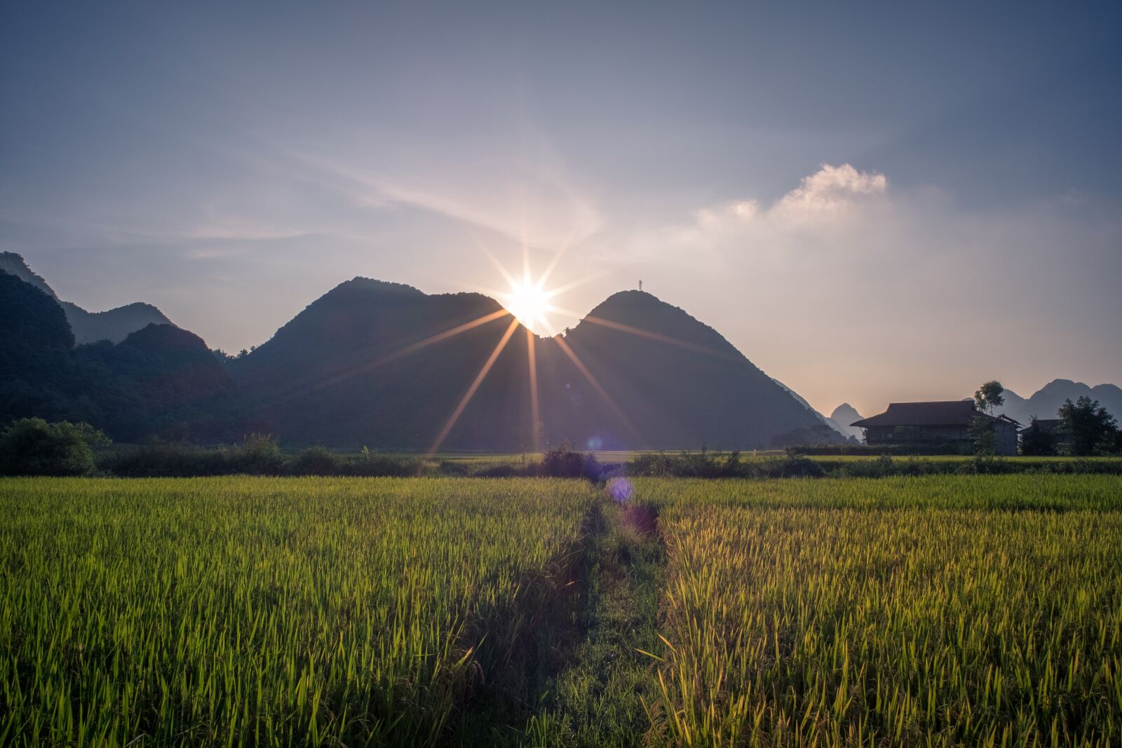 Fujifilm X-E2 sample photo. Sa pa, occupational rehabilitation photography