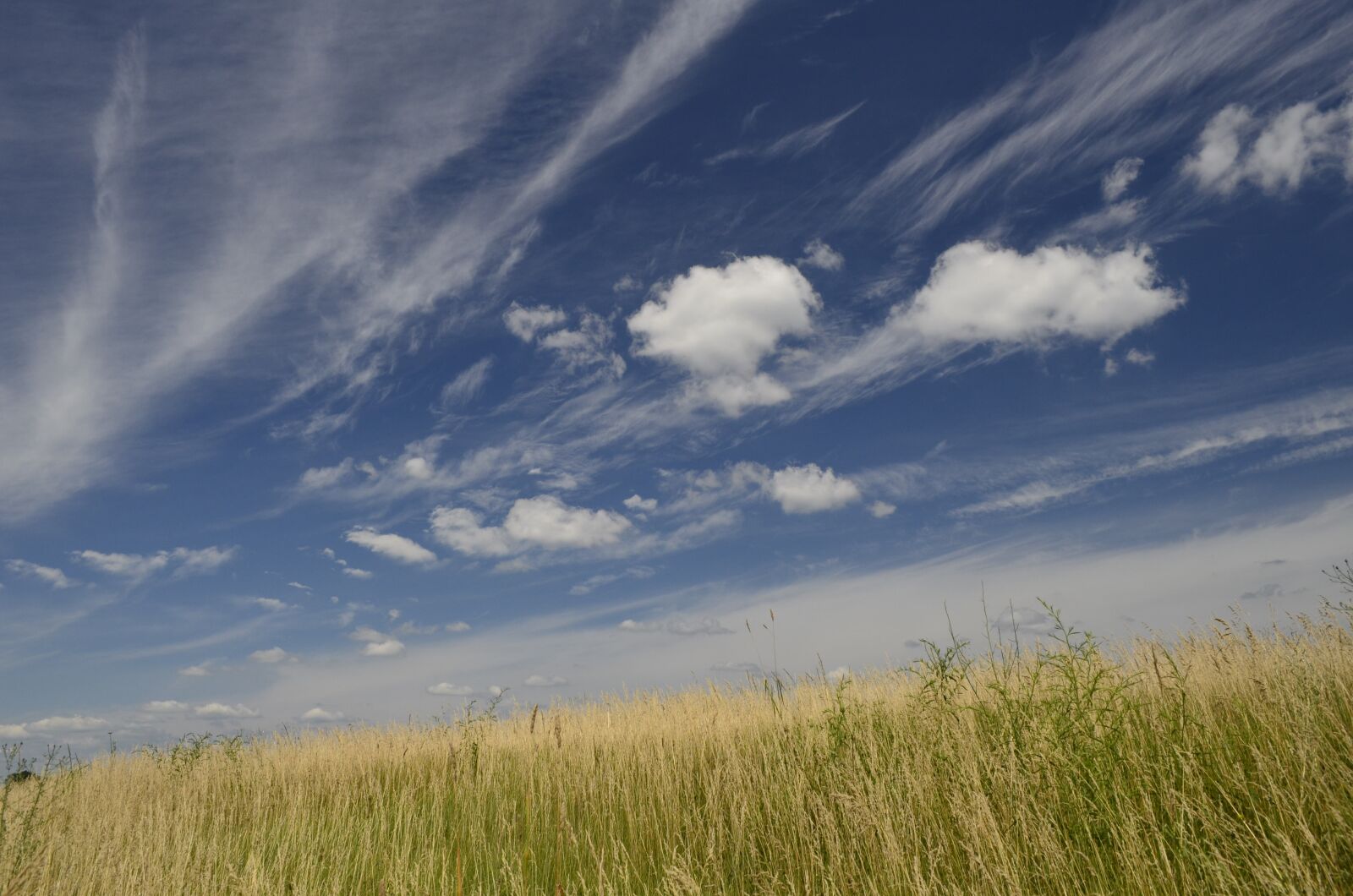 Nikon D5100 sample photo. Clouds, clouds and field photography