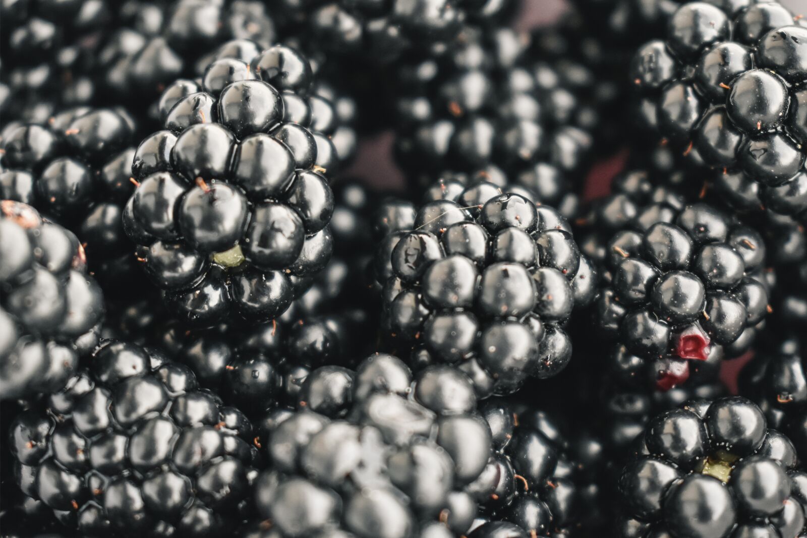 Nikon D5600 sample photo. Blackberries, fruit, fresh photography