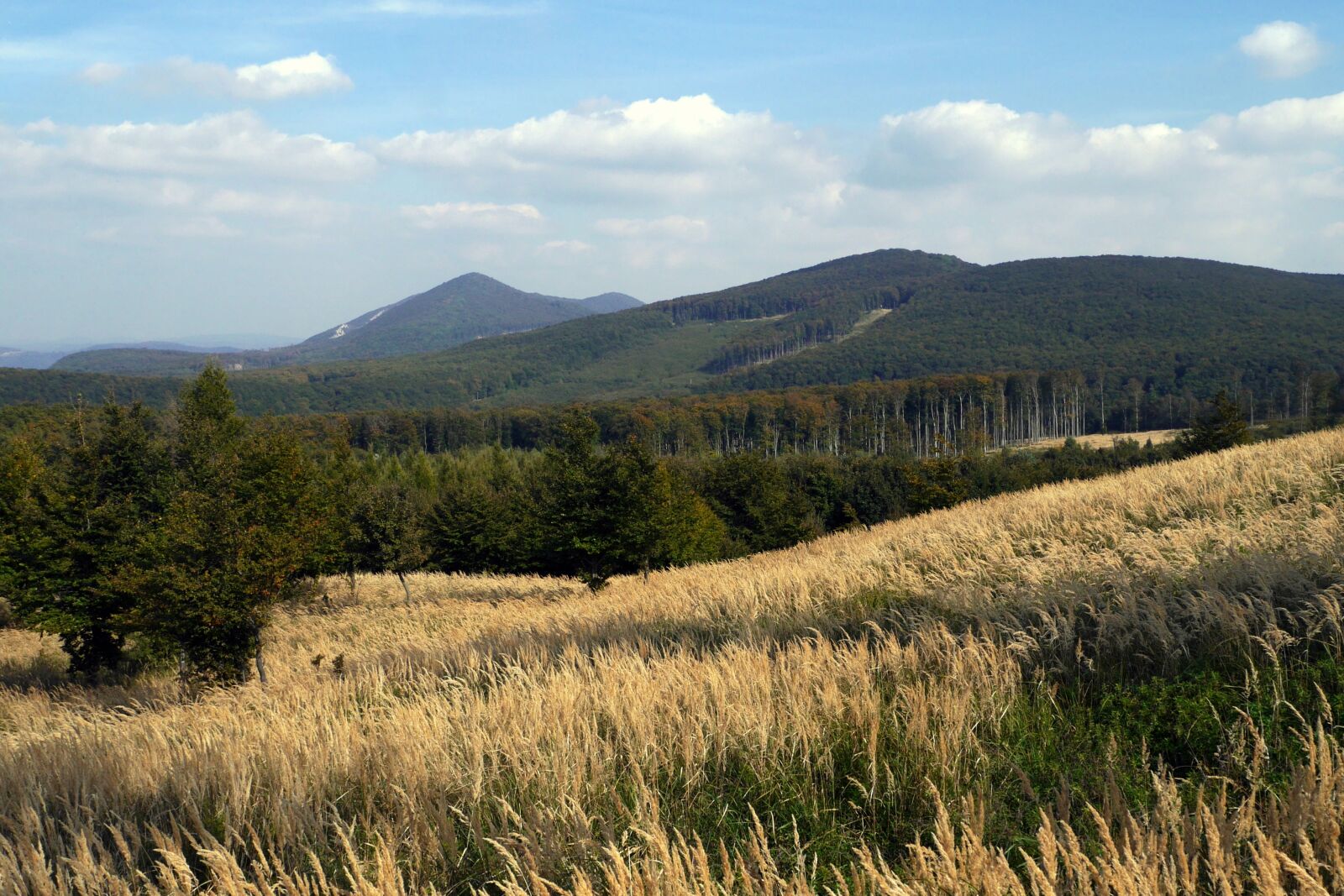 Panasonic Lumix DMC-G6 sample photo. Slovakia, little carpathians, nature photography