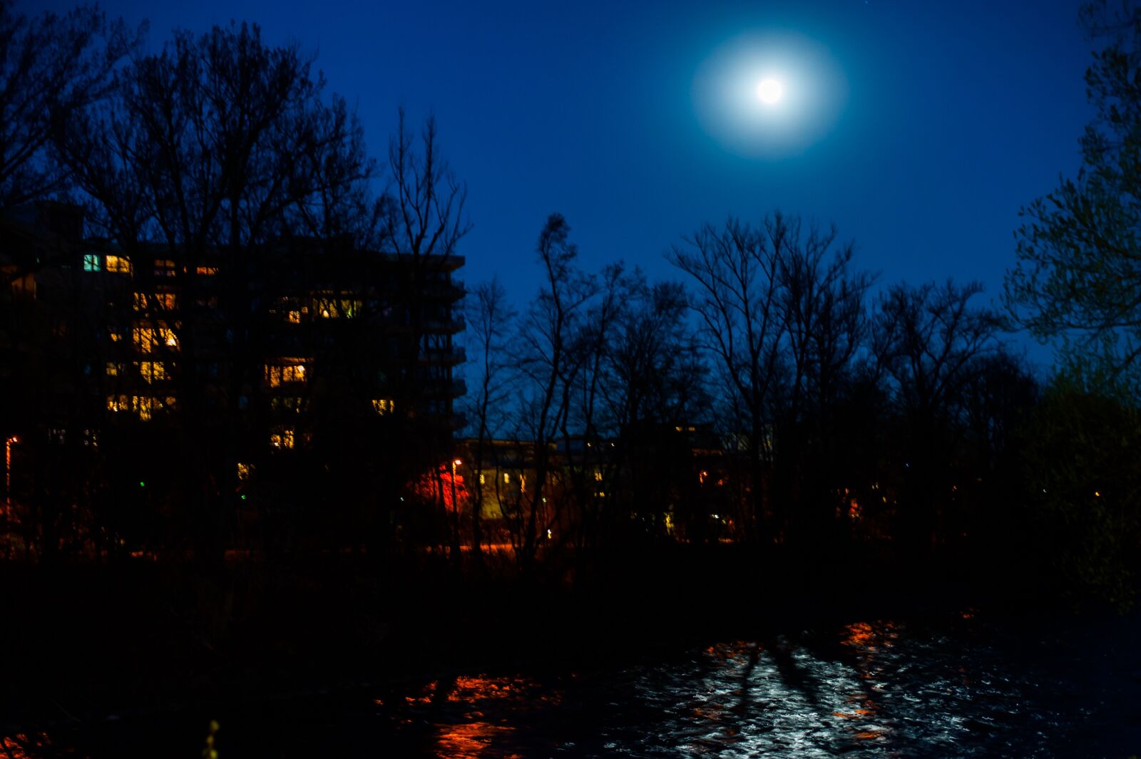 Nikon D700 sample photo. Full moon, walk, evening photography