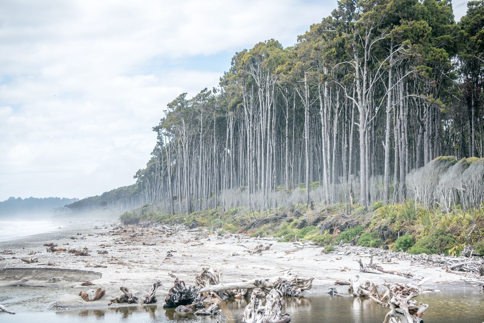 Nikon 1 J5 sample photo. New zealand, nature, beach photography