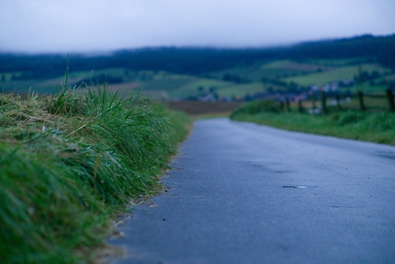 E 50mm F1.8 OSS sample photo. Road, haze, fog photography