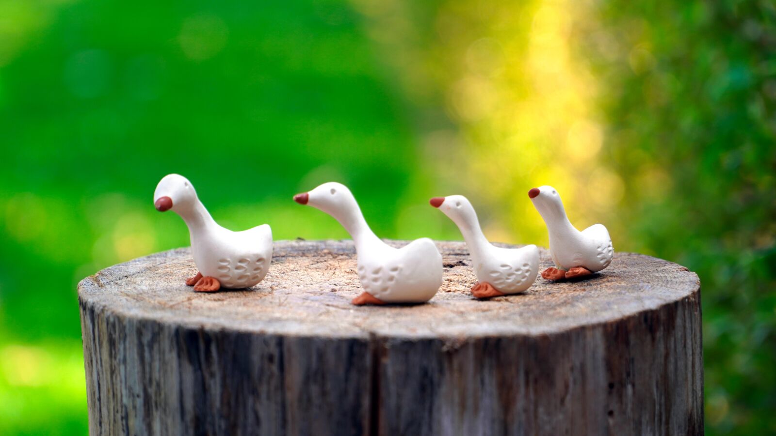 Sony E PZ 18-105mm F4 G OSS sample photo. Ducks, figures, sound photography