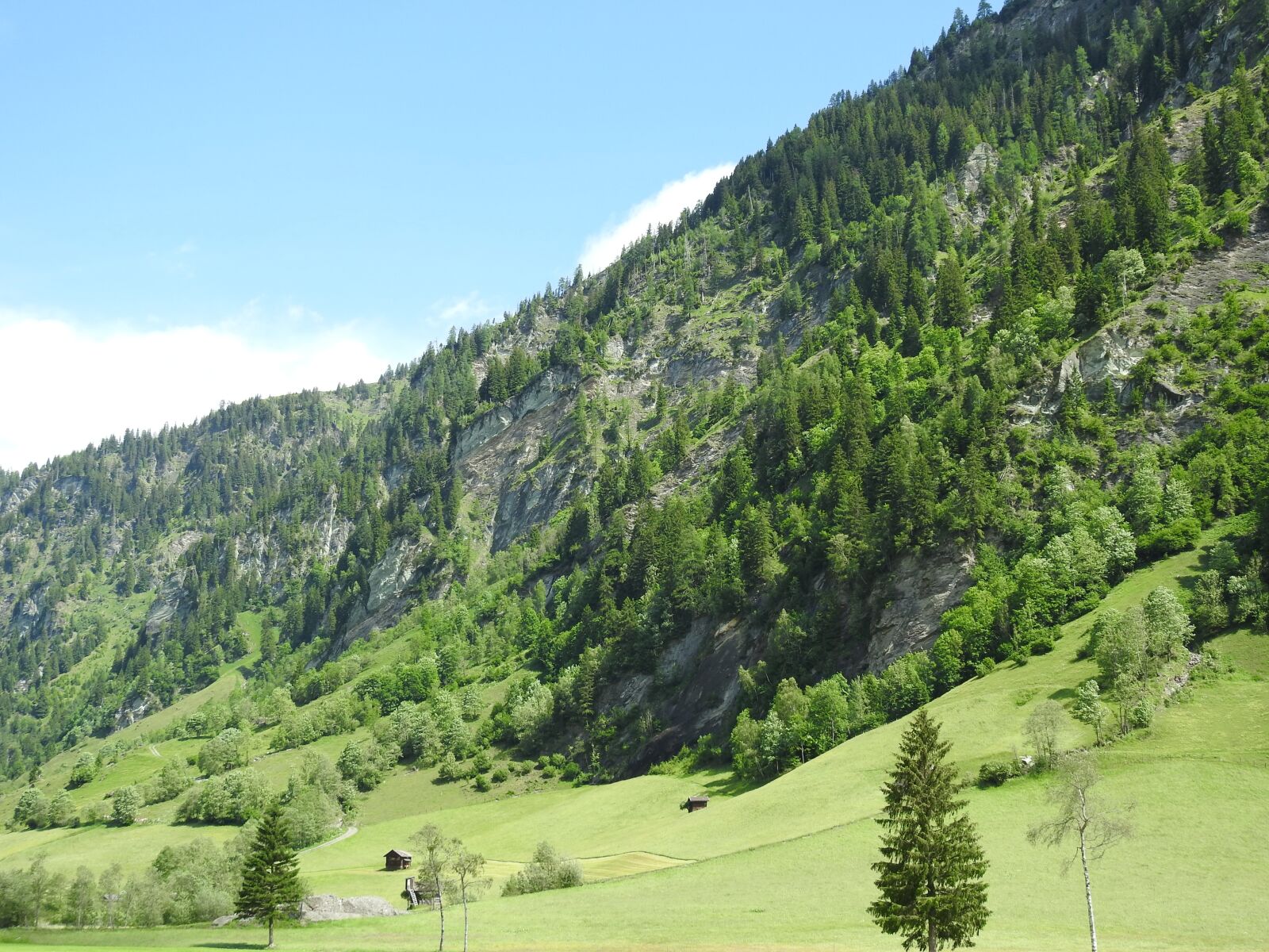 Nikon Coolpix P900 sample photo. Austria, mountains, meadow photography