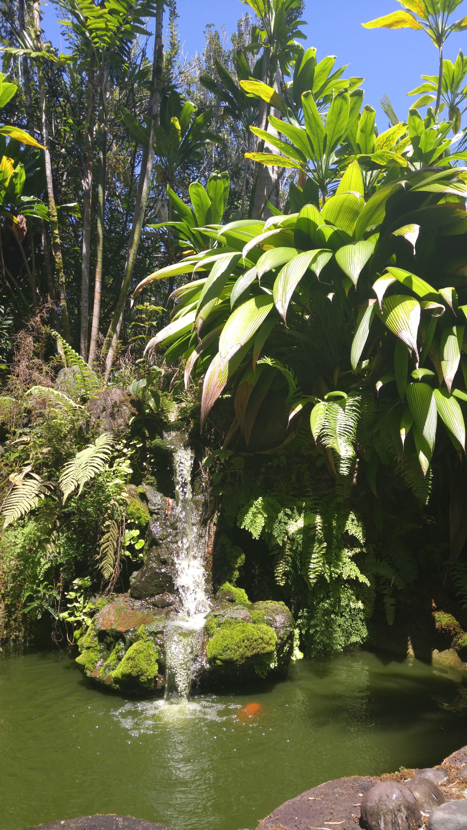 LG G4 sample photo. Waterfall, water, green photography
