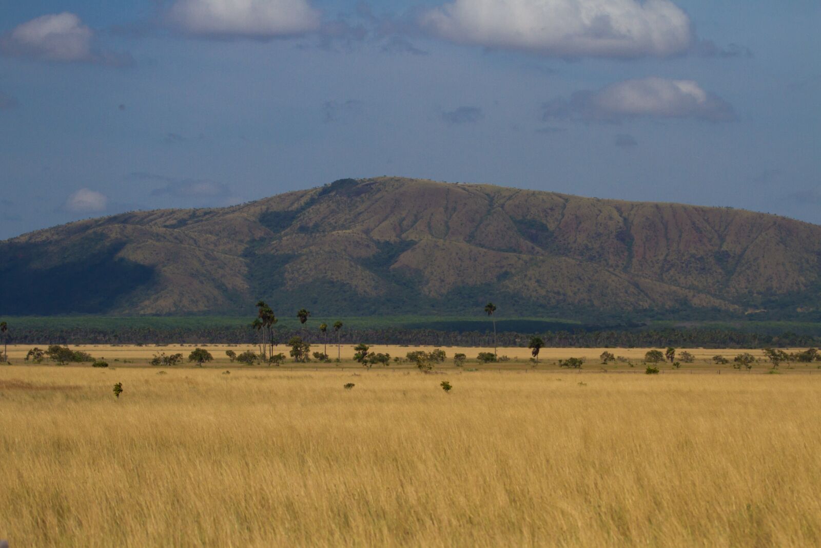 Canon EOS 7D sample photo. Roraima, brazil savannah, lavrado photography