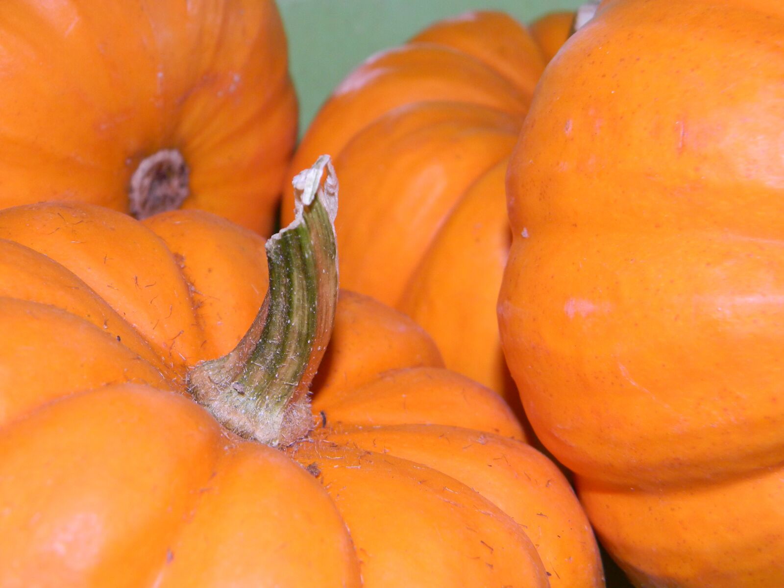 Nikon Coolpix L110 sample photo. Pumpkins, autumns, halloween photography