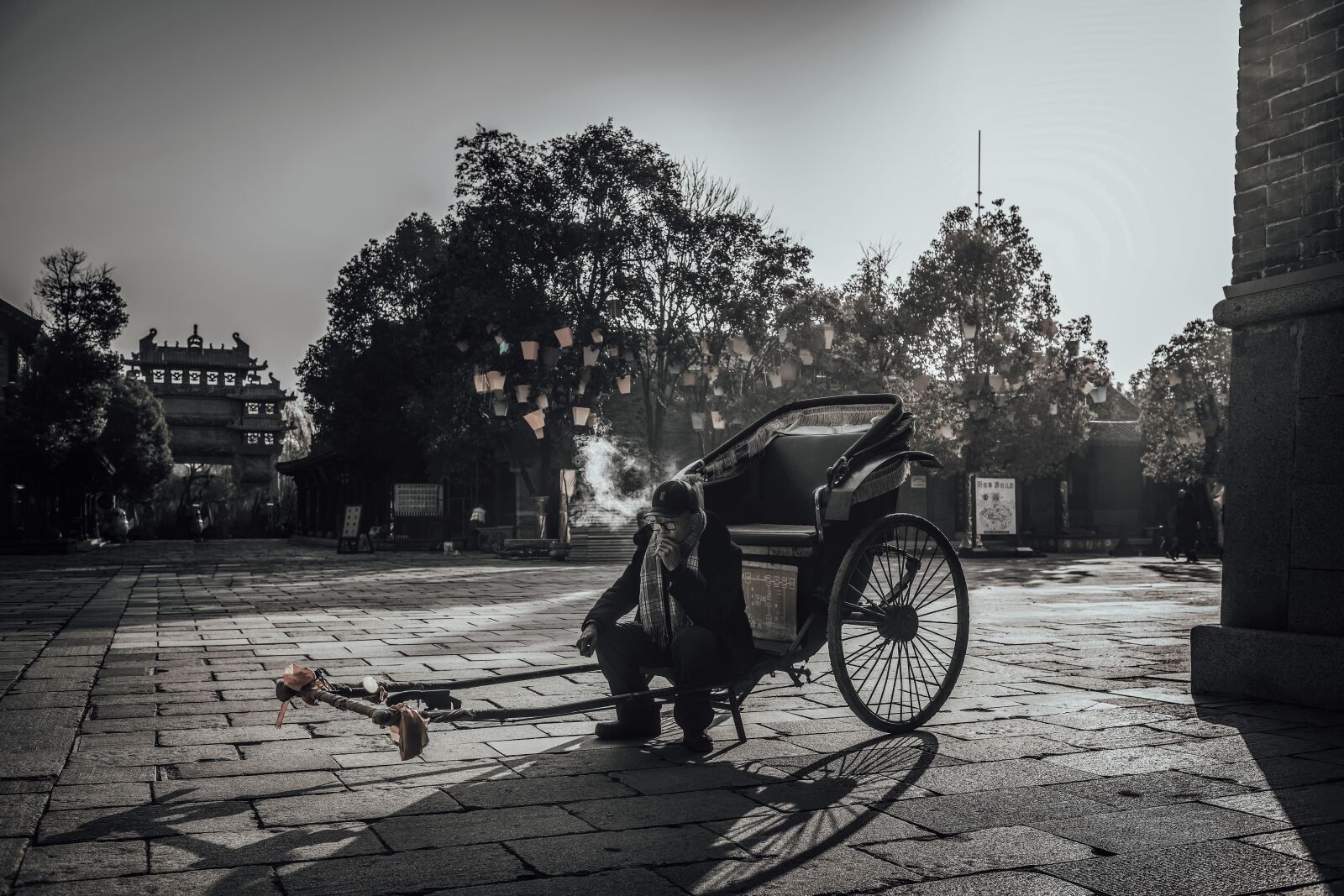 Nikon D850 sample photo. Old man, rickshaw, poor photography