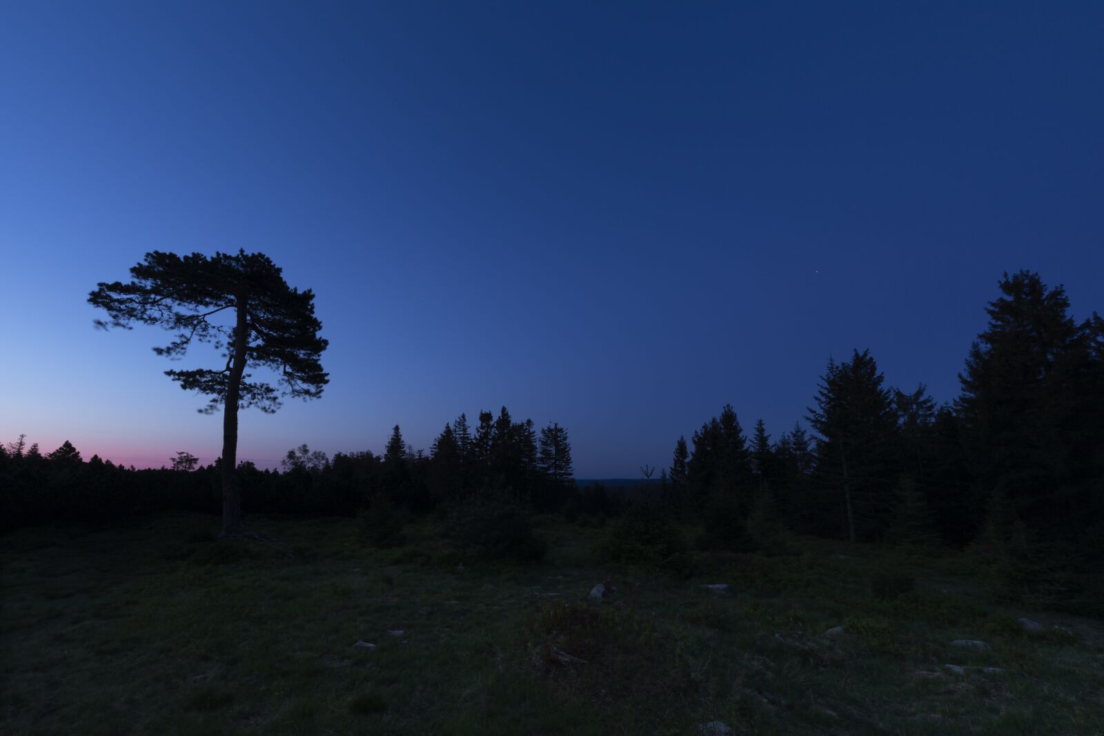 Canon EOS 5D Mark IV + Canon EF 16-35mm F4L IS USM sample photo. Sunrise, black forest, landscape photography