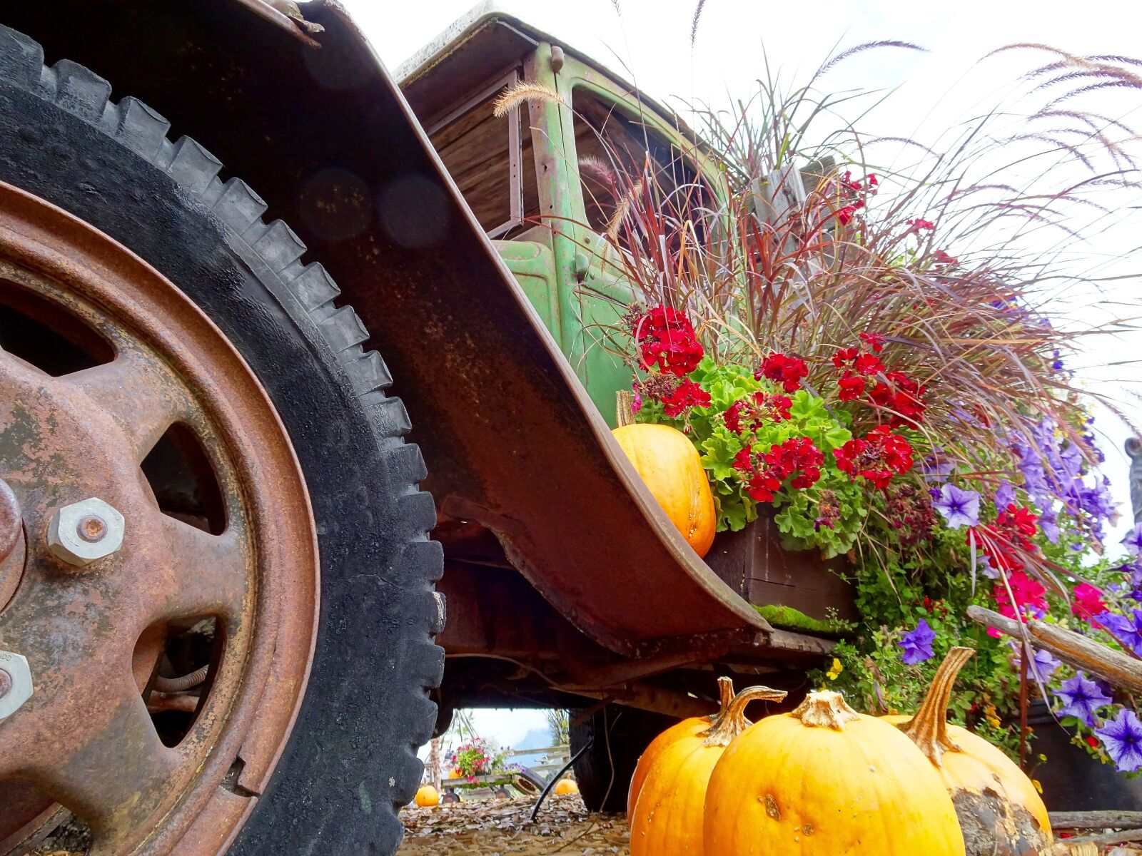 Sony Cyber-shot DSC-HX90V sample photo. Truck, pumpkins, flowers photography