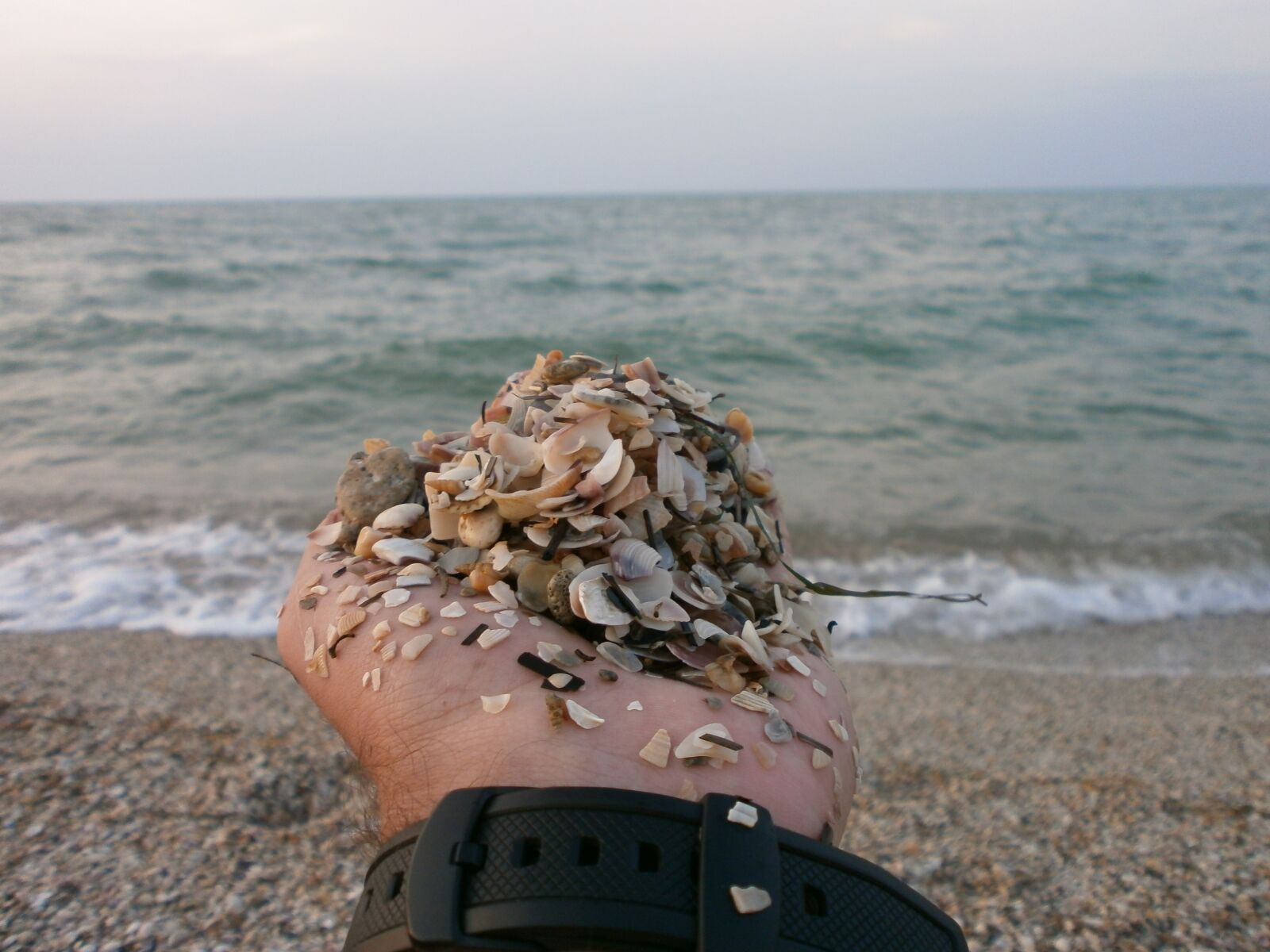 Olympus VG150,D735 sample photo. Sea, hand, sand photography