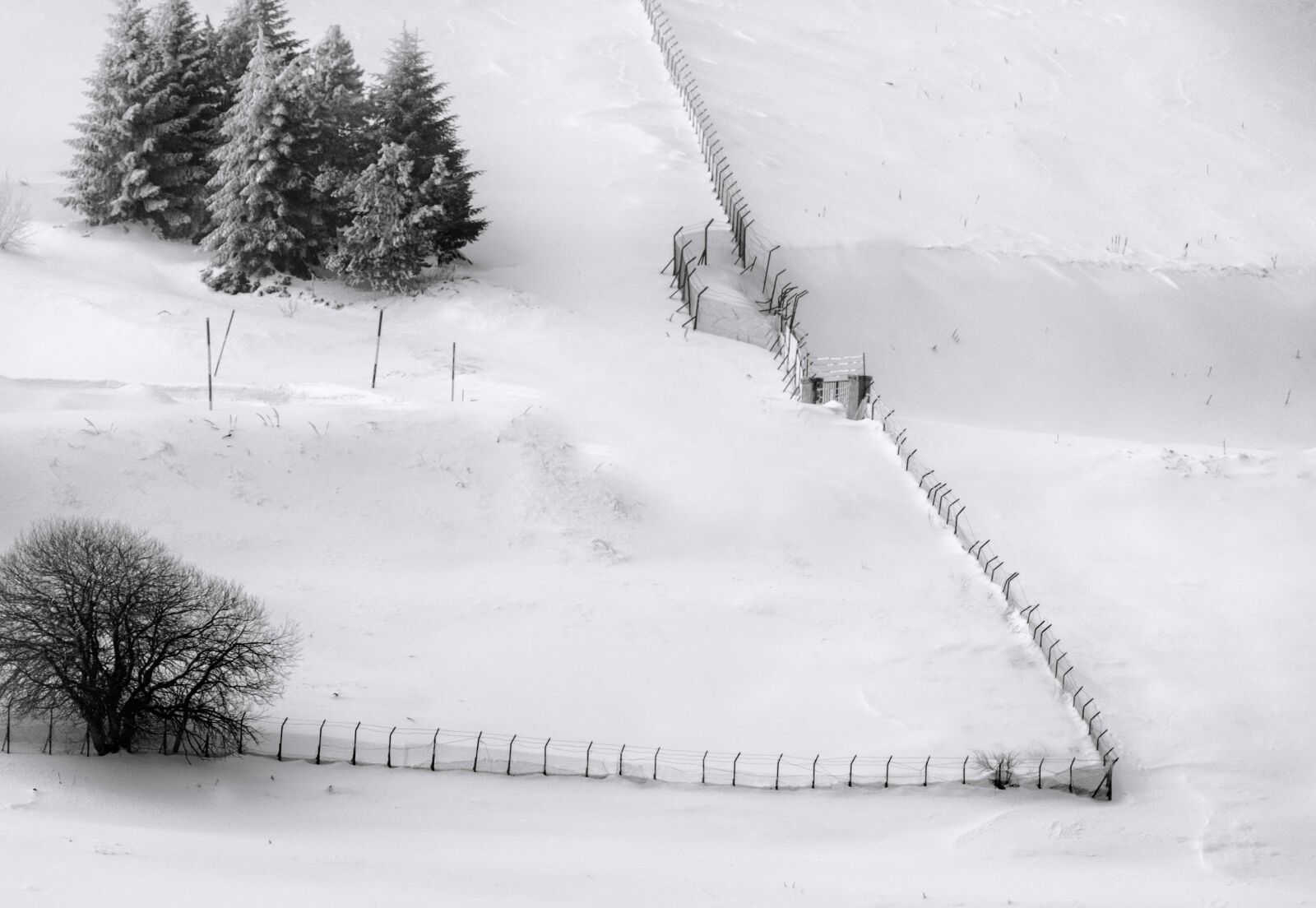 Nikon D7200 sample photo. Snow, winter, cold photography