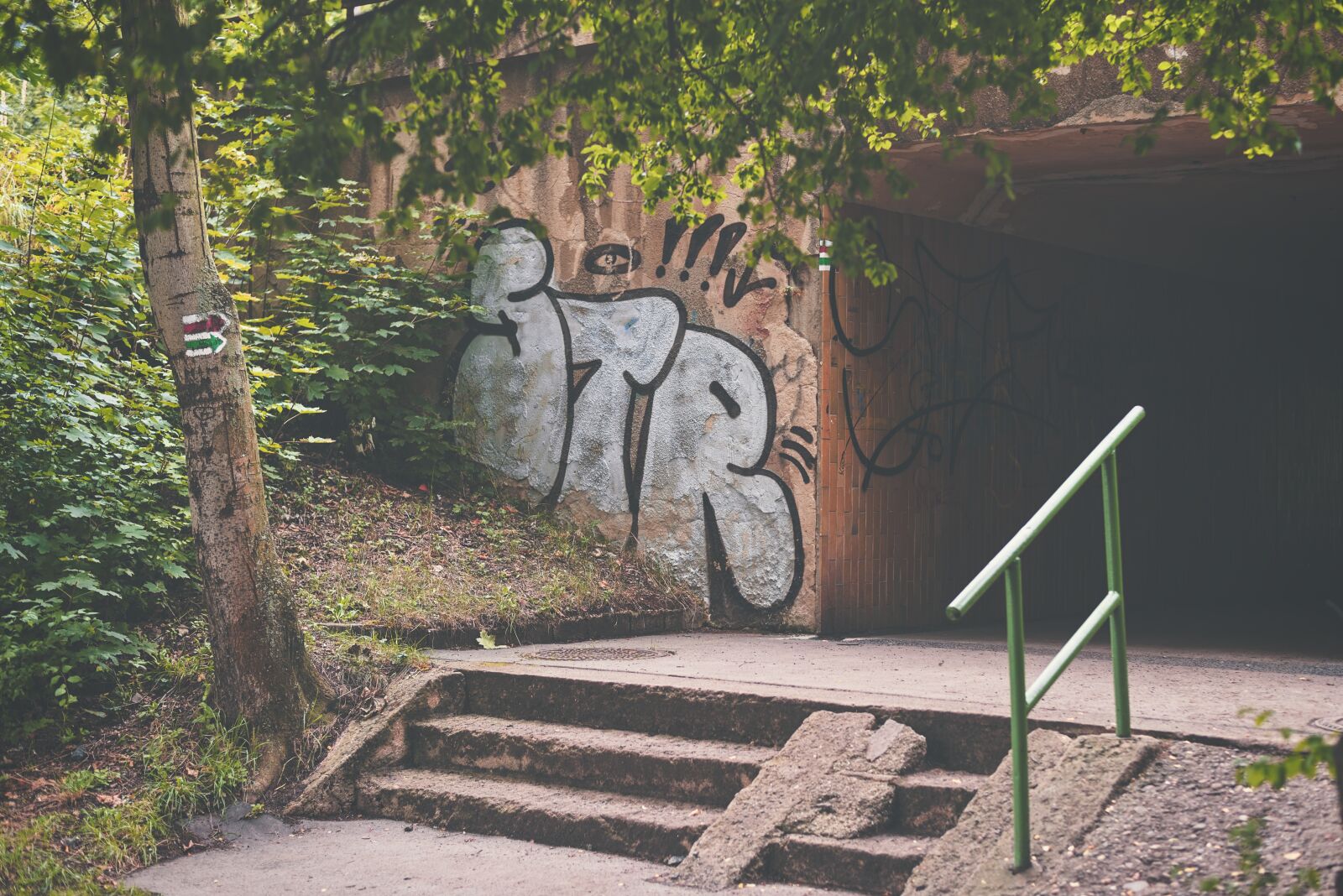 Nikon D750 sample photo. Wallpaper, background, tunnel photography
