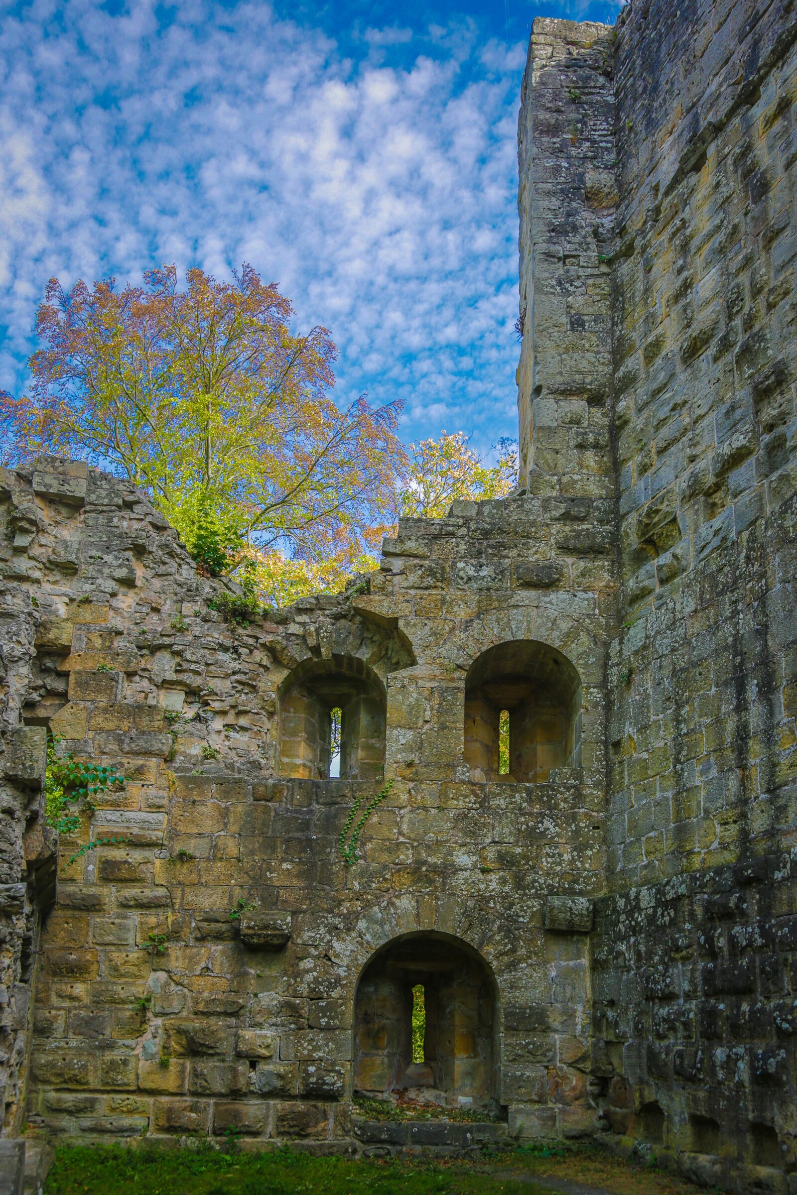 Canon EF 24-105mm F4L IS USM sample photo. Blankenhorn, burgruine, castle photography