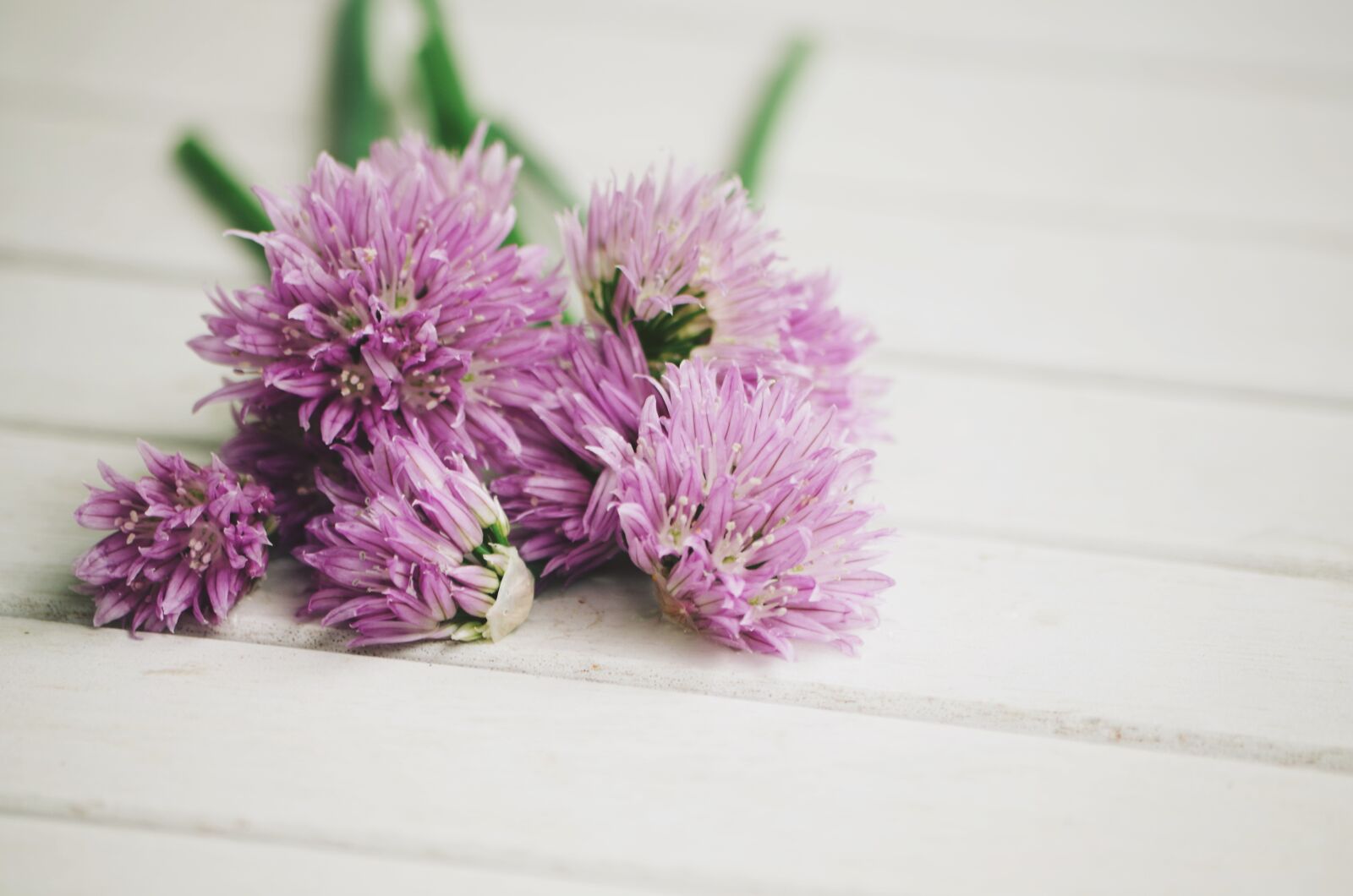 Pentax K-50 sample photo. Chives, eat, food photography