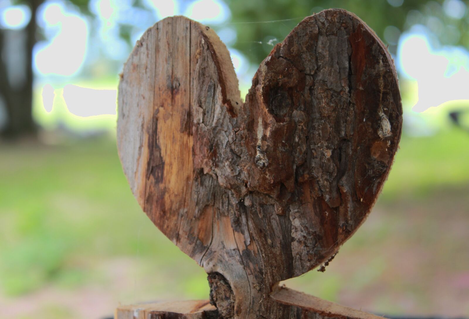 Canon EOS 600D (Rebel EOS T3i / EOS Kiss X5) sample photo. Heart in the wood photography