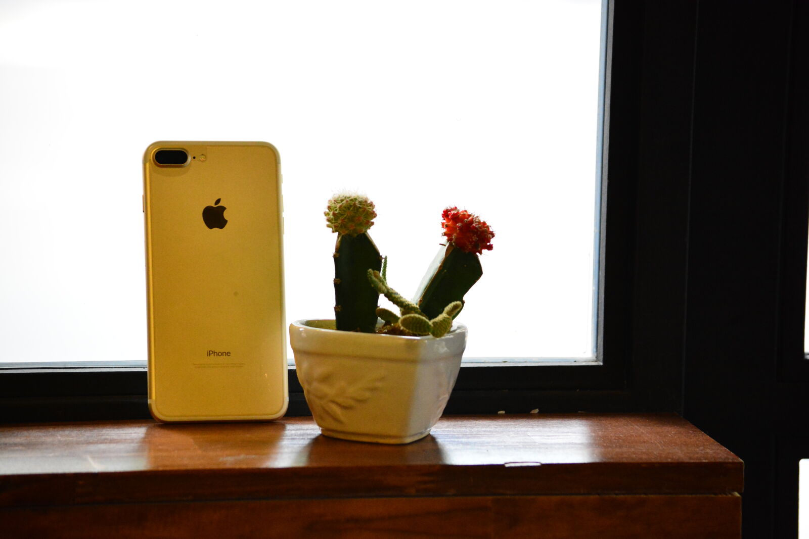 Nikon D7100 sample photo