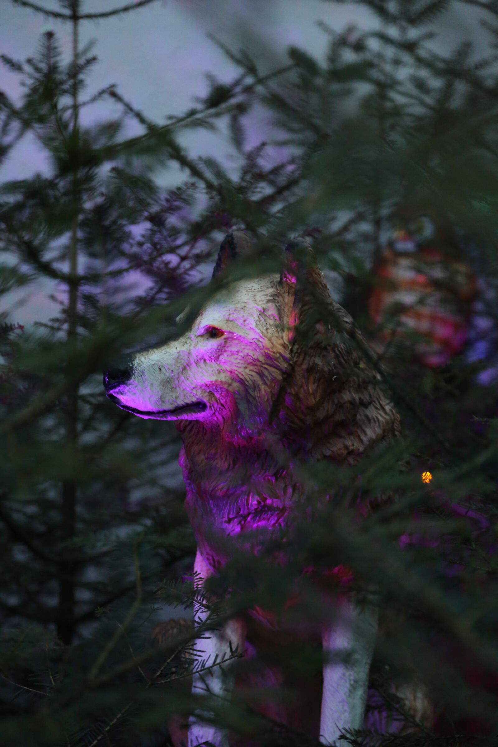 Canon EOS 5D Mark III sample photo. Figure, animal, wolf photography