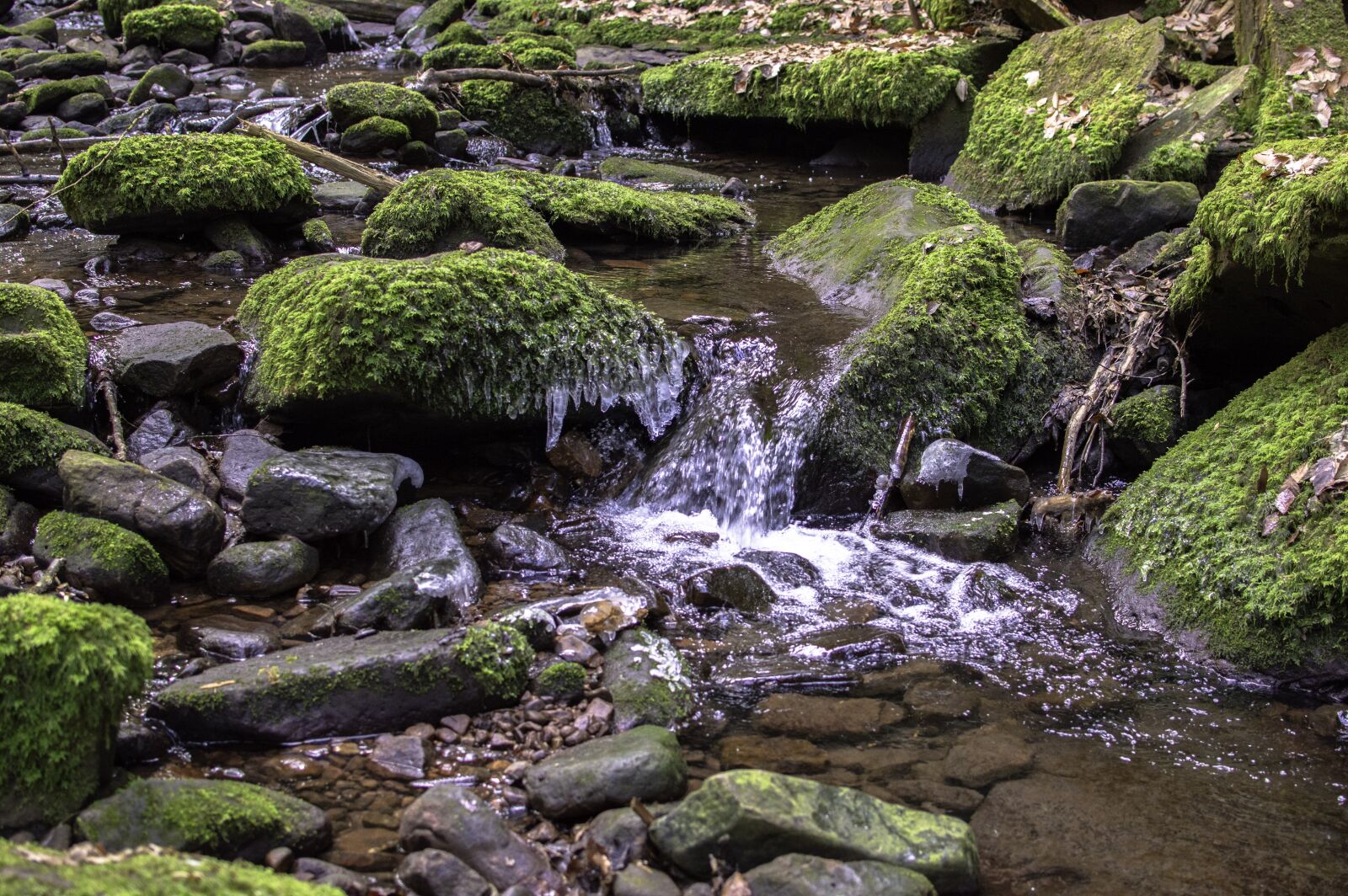Nikon D3200 sample photo. Bach, nature, ice photography